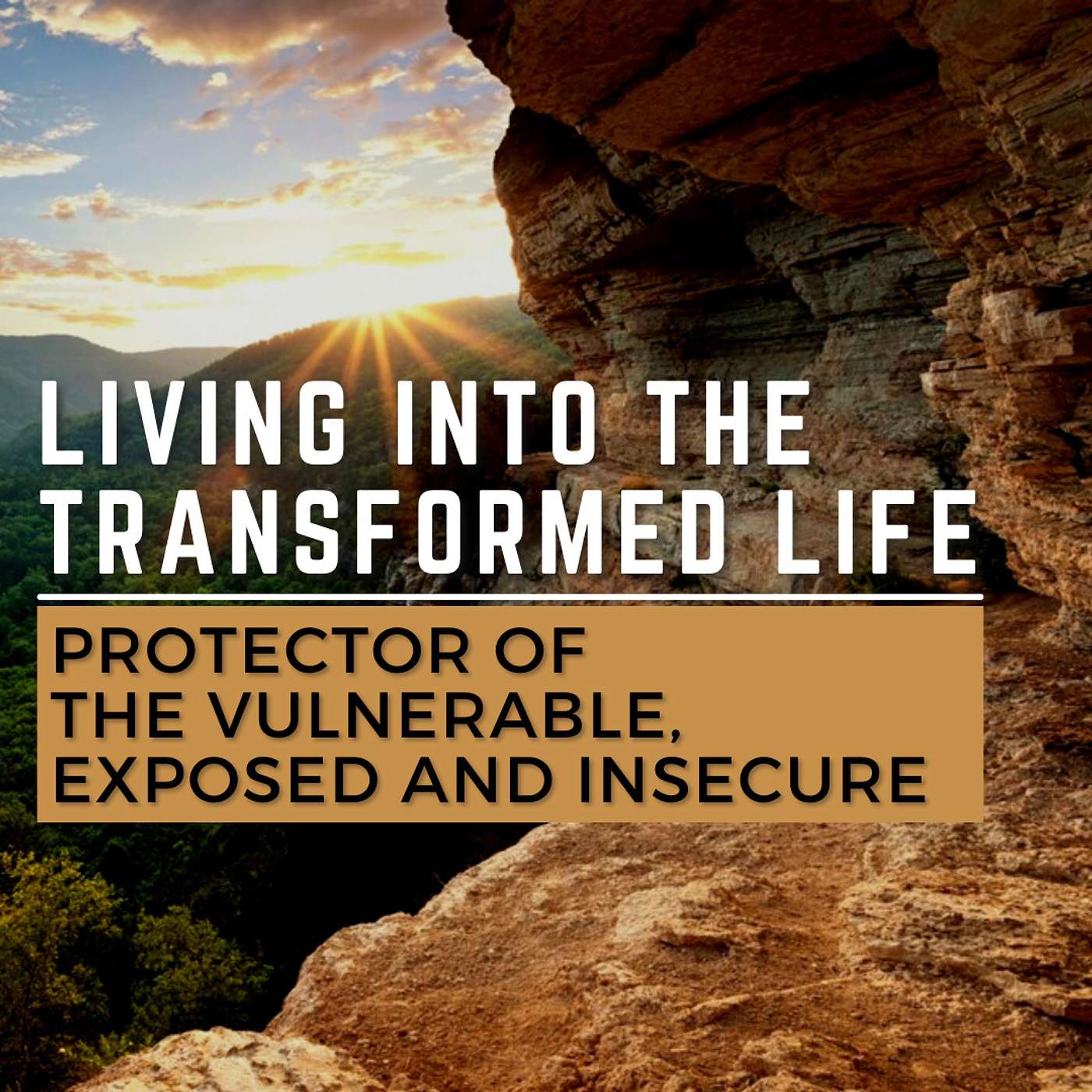 Protector of the Vulnerable, Exposed and Insecure
