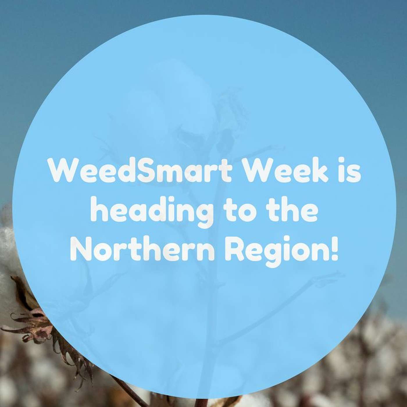 WeedSmart Week is heading to the Northern Region!