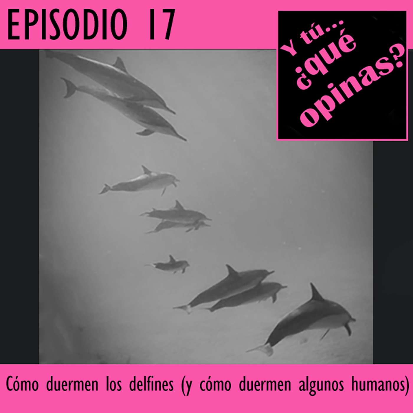 Y tú, ¿qué opinas?