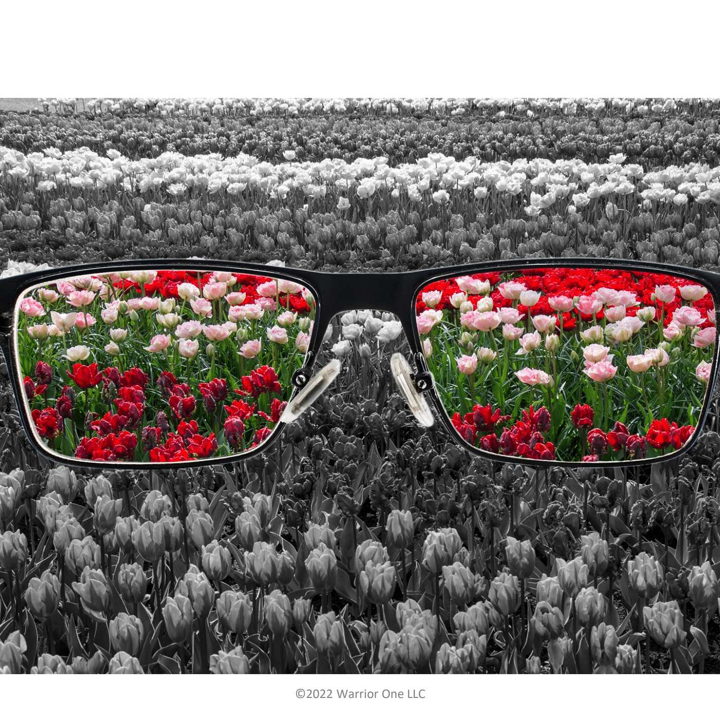 The Optimism of Generosity