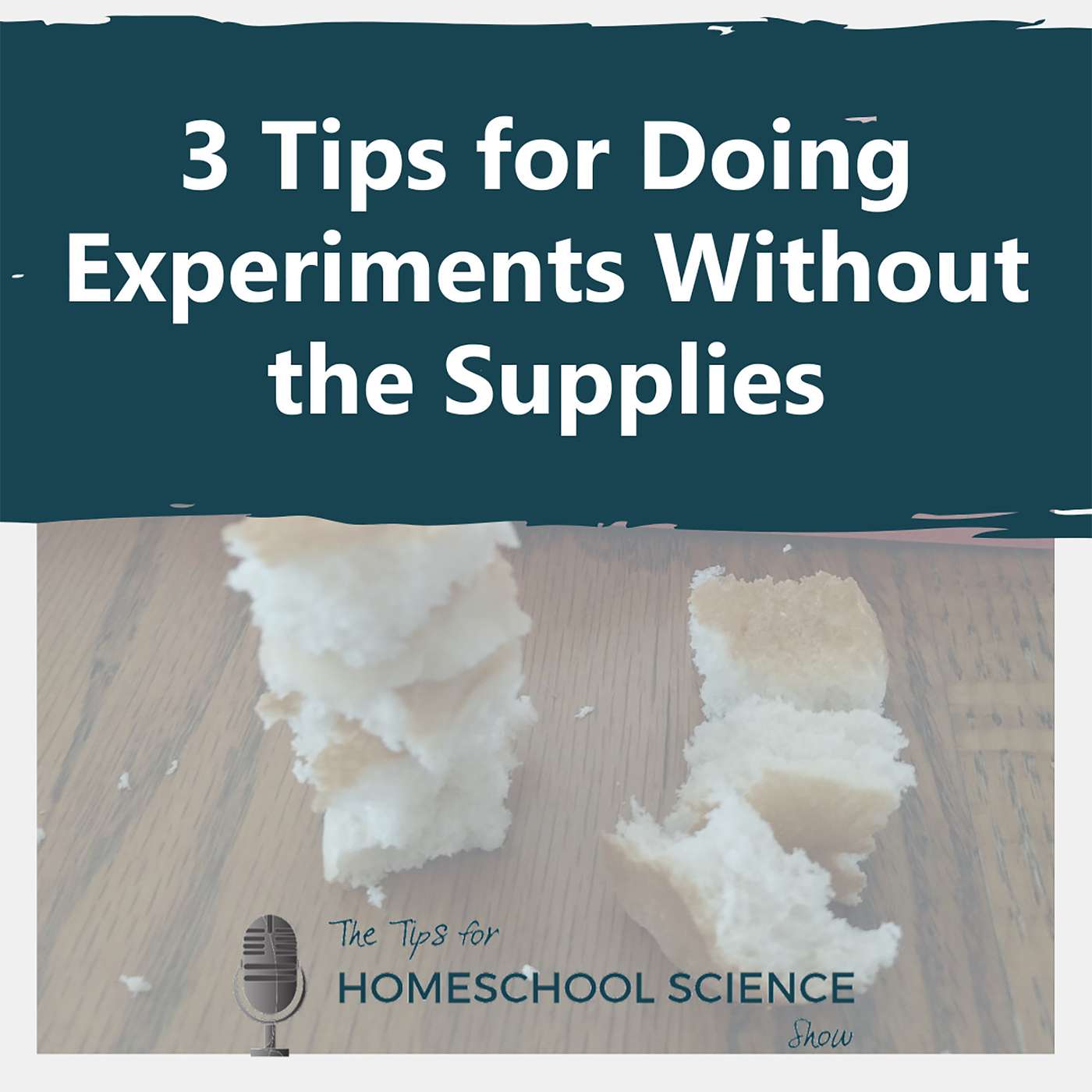 Tips for Homeschool Science Podcast from Elemental Science