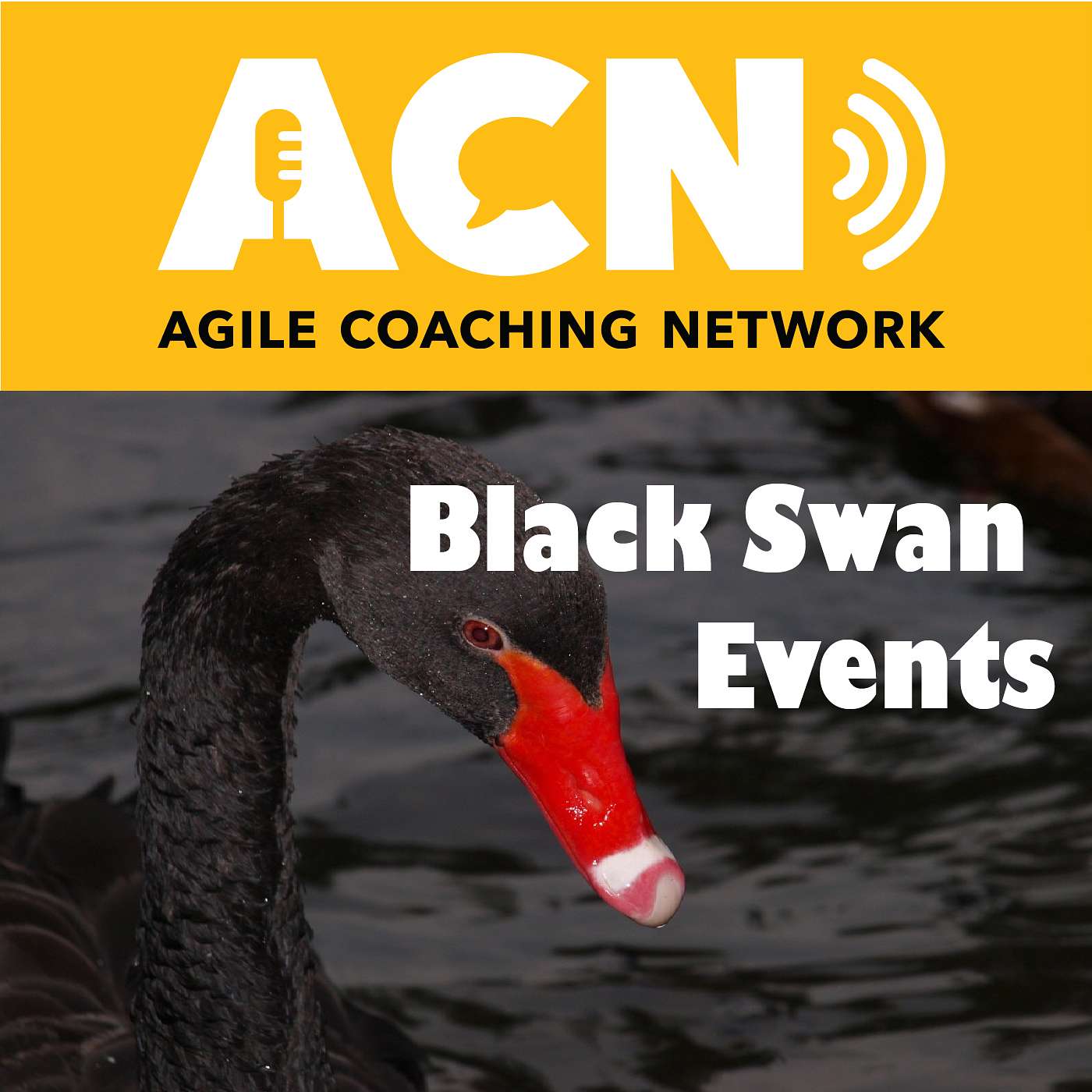Maneuvering a Black Swan event, and what are good ways to measure Agile maturity.