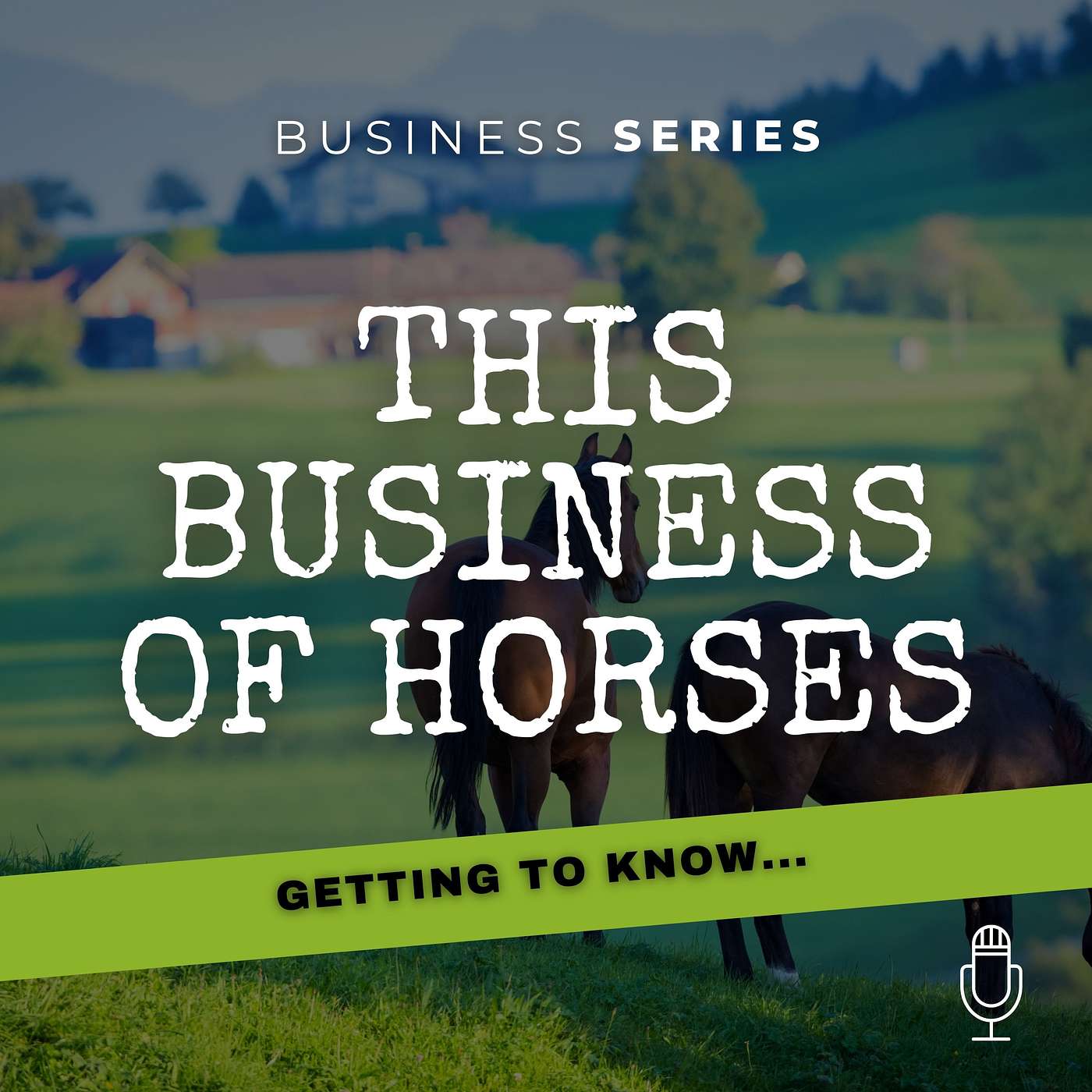 Getting to know...NKC Equestrian Training