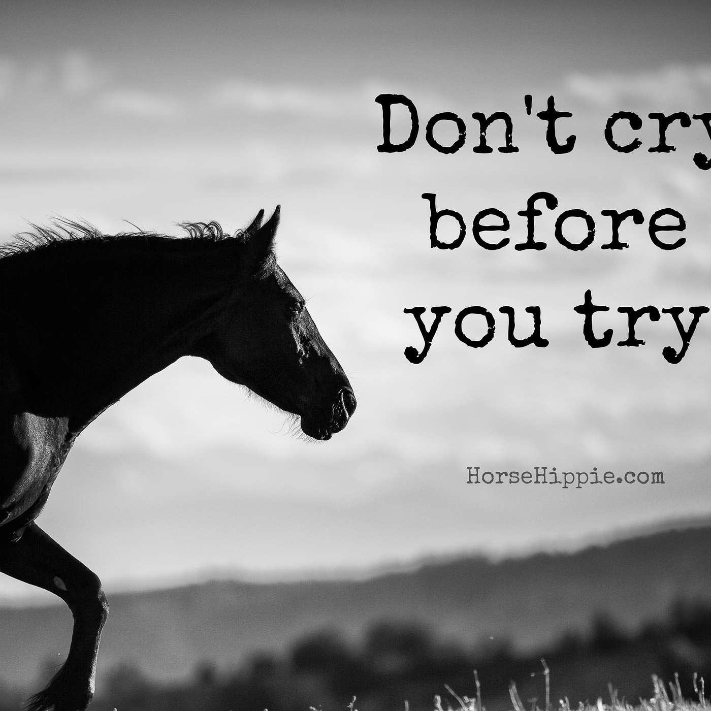 Don’t Cry Before You Try