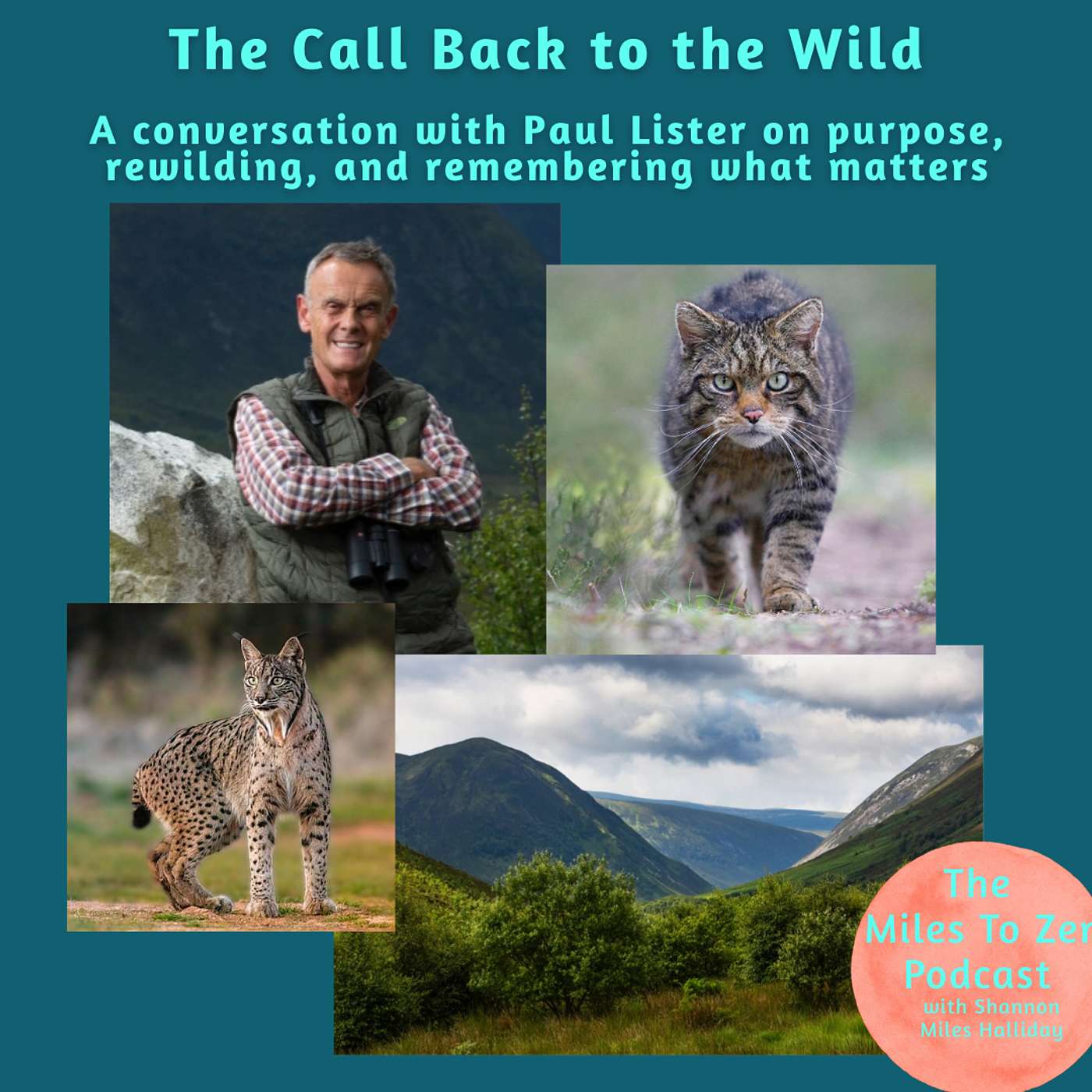 The Miles to Zen Podcast with Shannon Miles Halliday