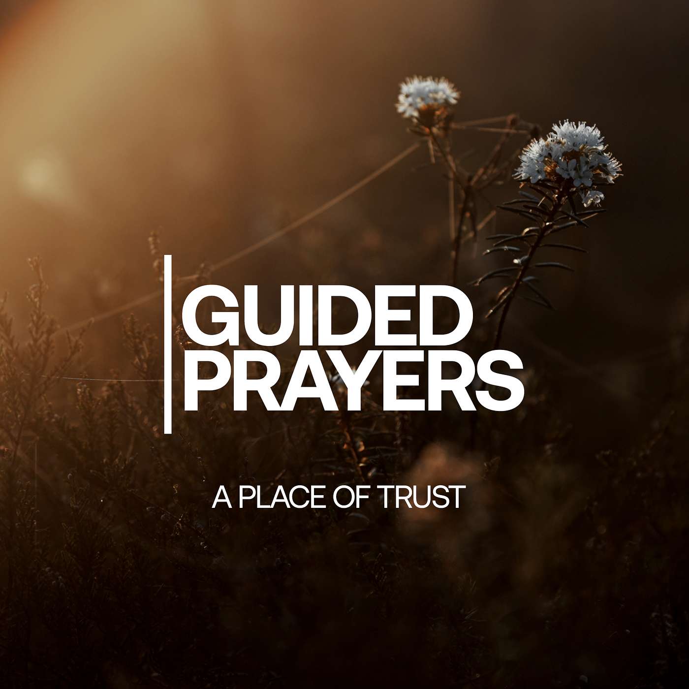 Meeting God In The Silence | Guided Prayers episode artwork