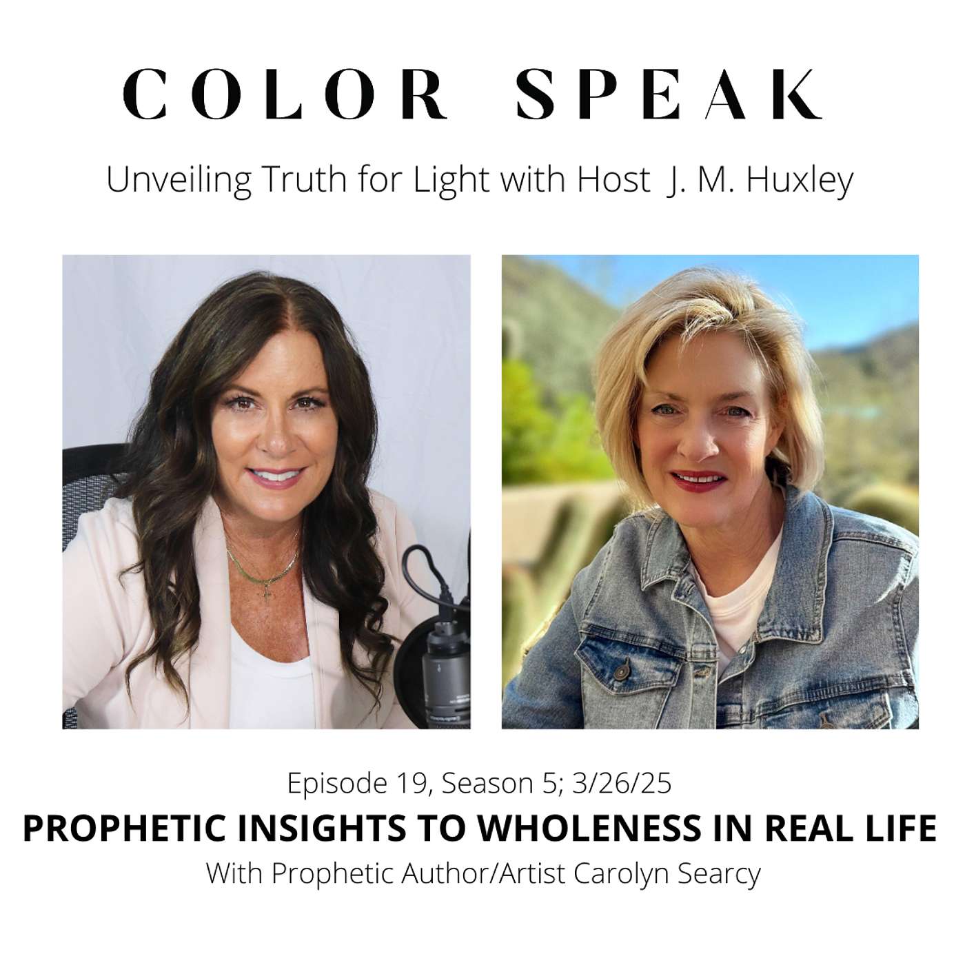 COLOR SPEAK, Season 5, Episode 19: PROPHETIC INSIGHTS TO WHOLENESS IN REAL LIFE; Prophetic Author/Artist Carolyn Searcy