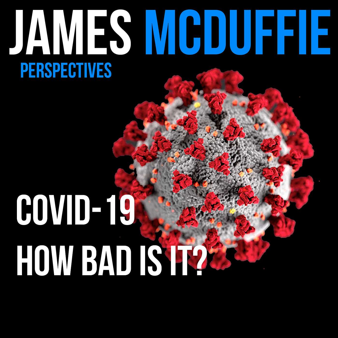 James McDuffie: Perspectives
