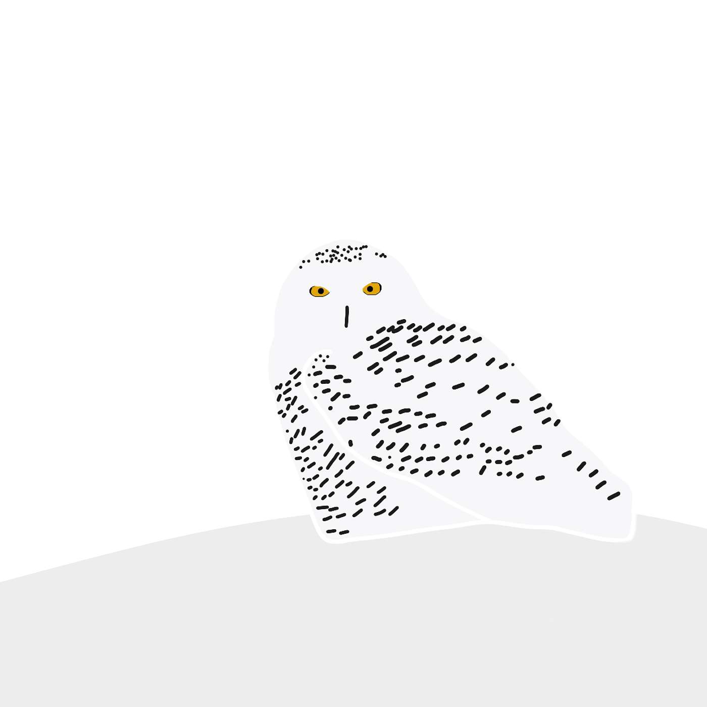 The Snowy Owl episode artwork