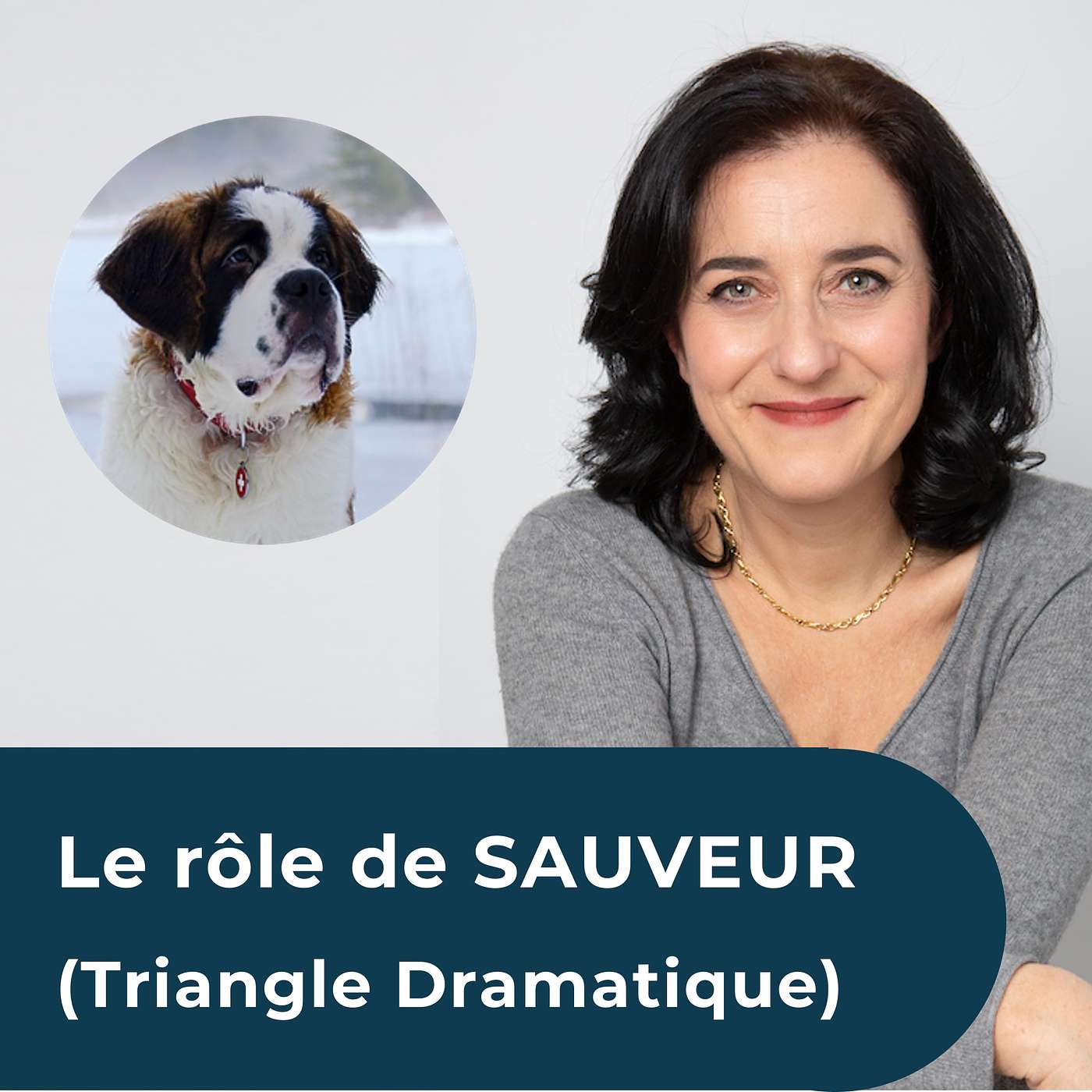 Le rôle du SAUVEUR (Jeux psychologiques - Triangle de Karpman) episode artwork