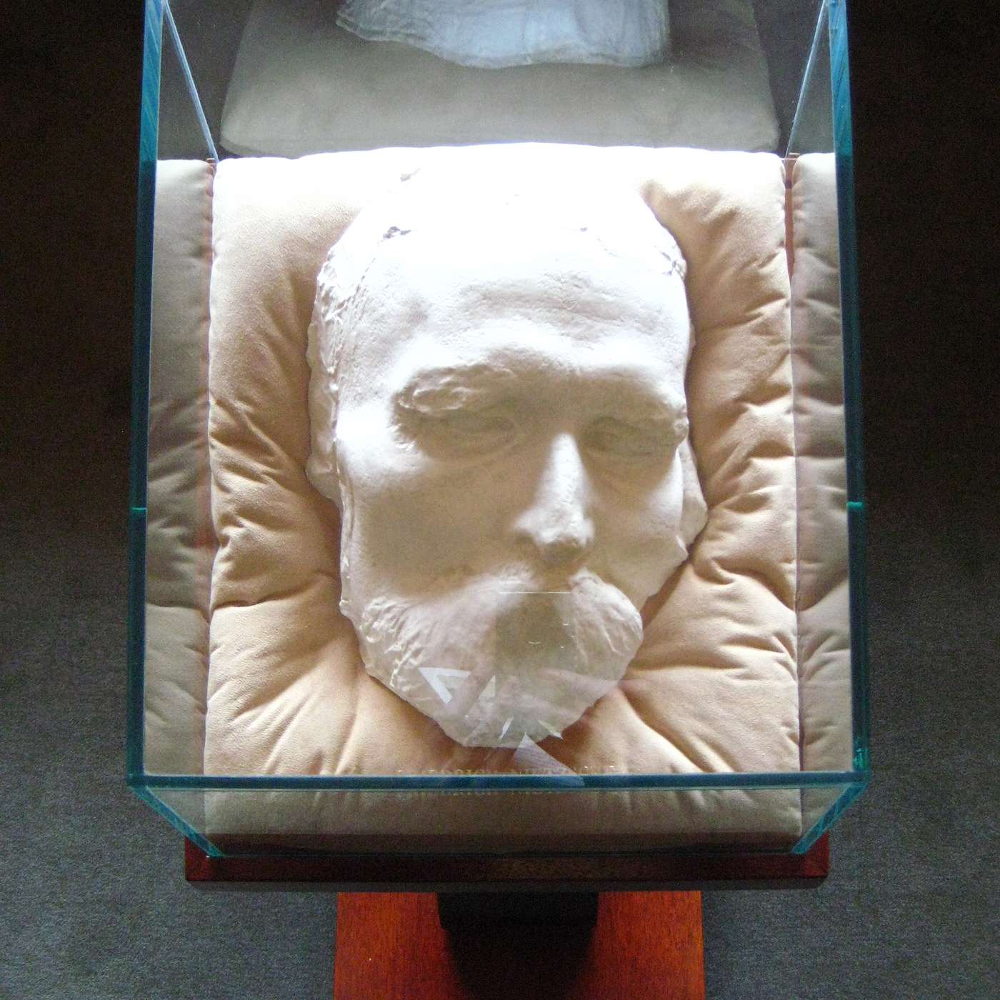 A Hunger Artist: The Tragicomic Fate of a Negation made Flesh