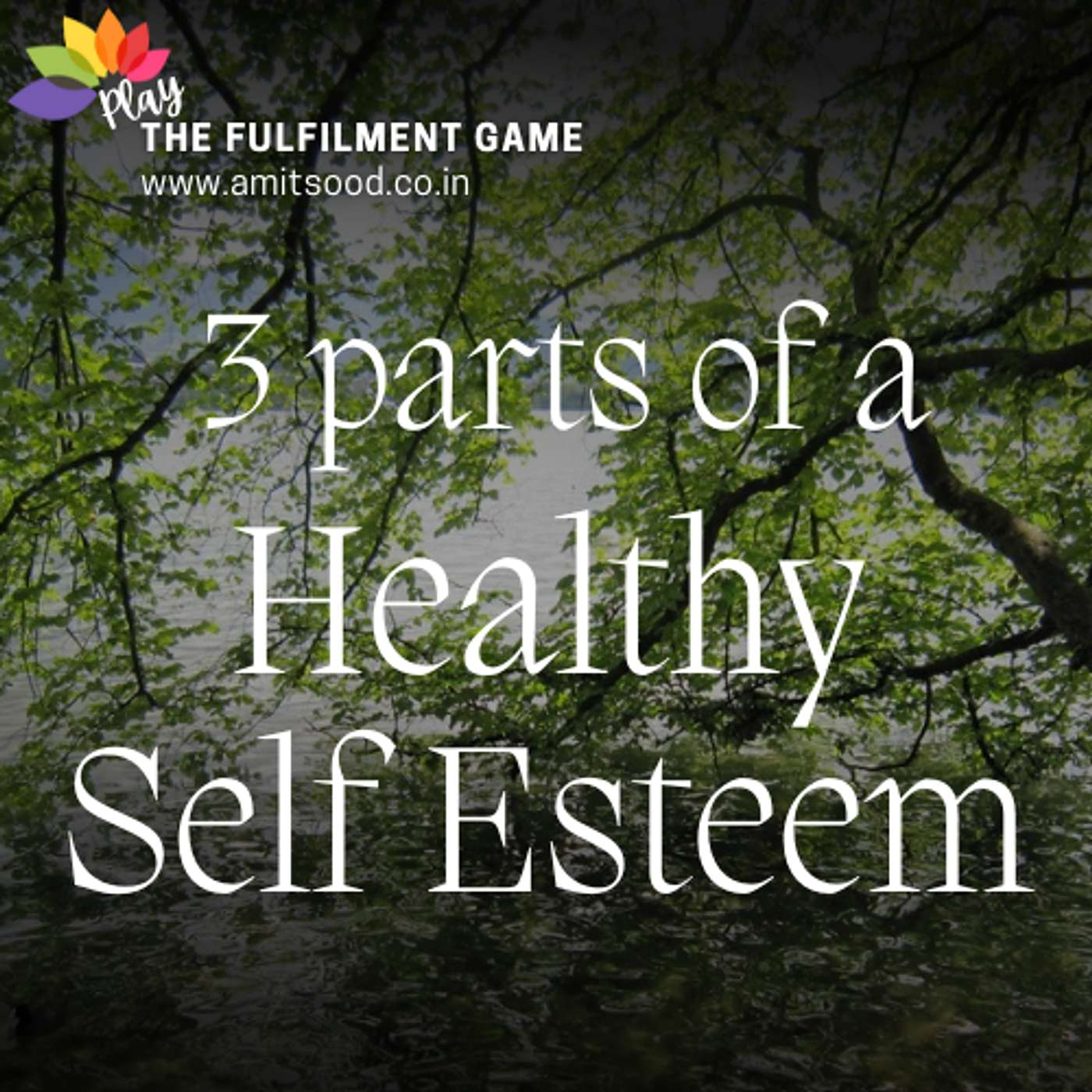 Amit Sood, Coach on Life and Spiritual Fulfilment