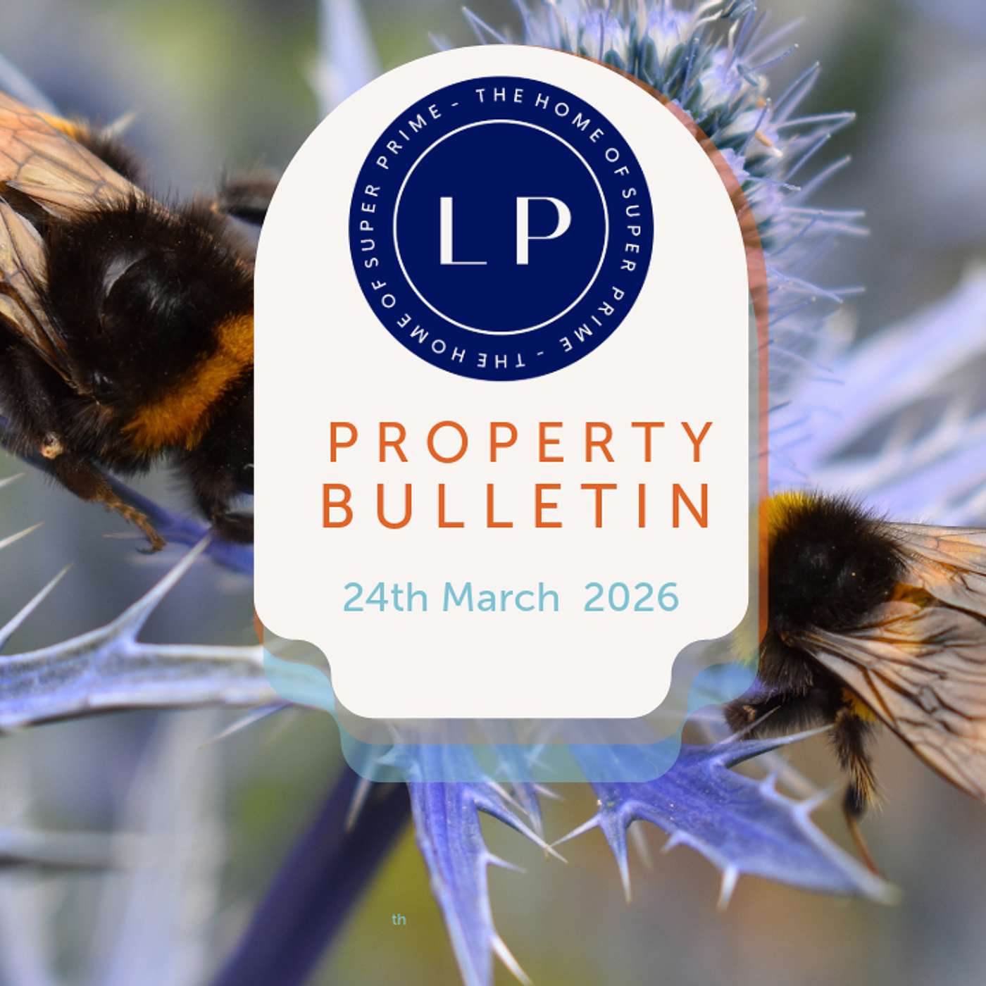 London Property - Unlock Property Wealth