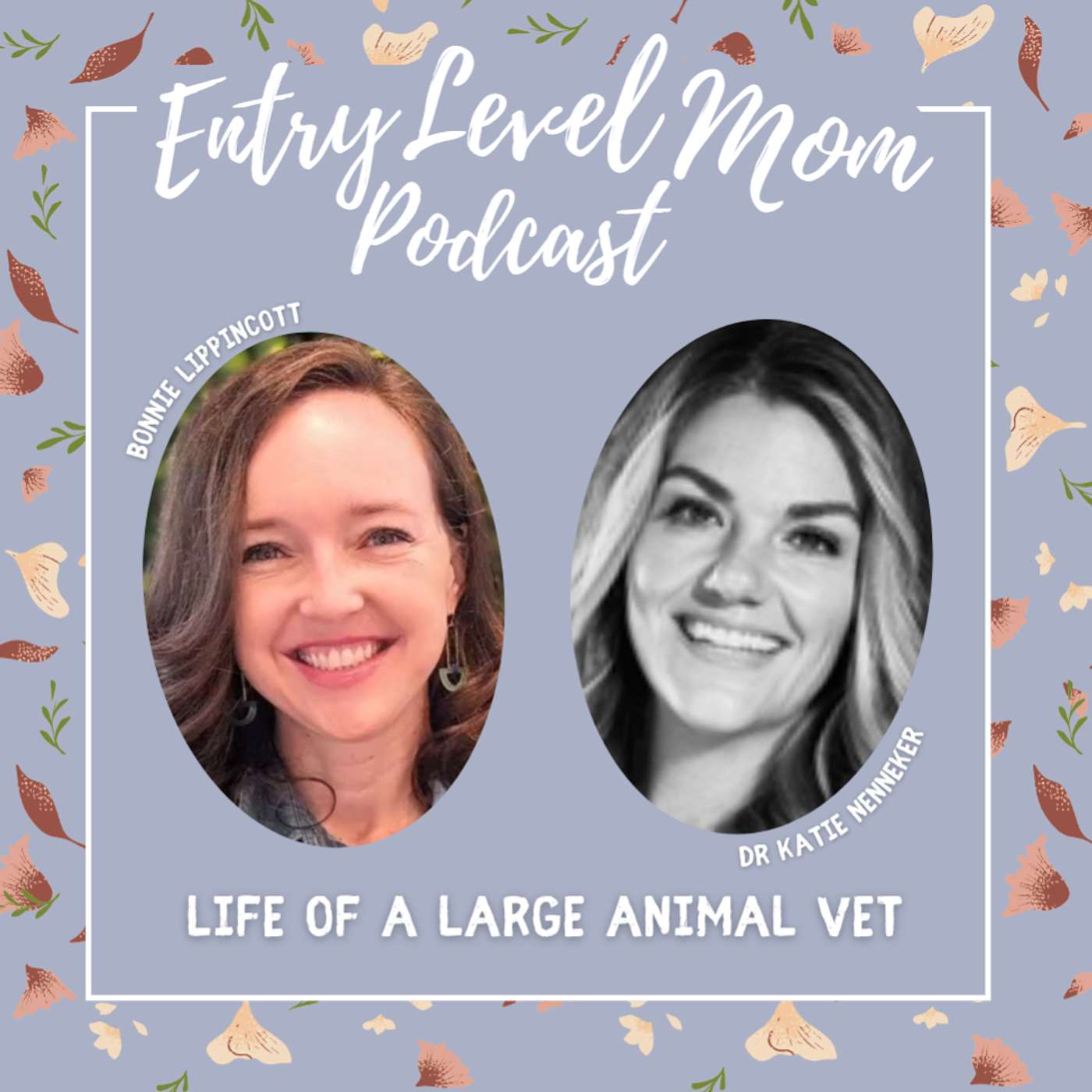 Entry Level Mom Podcast
