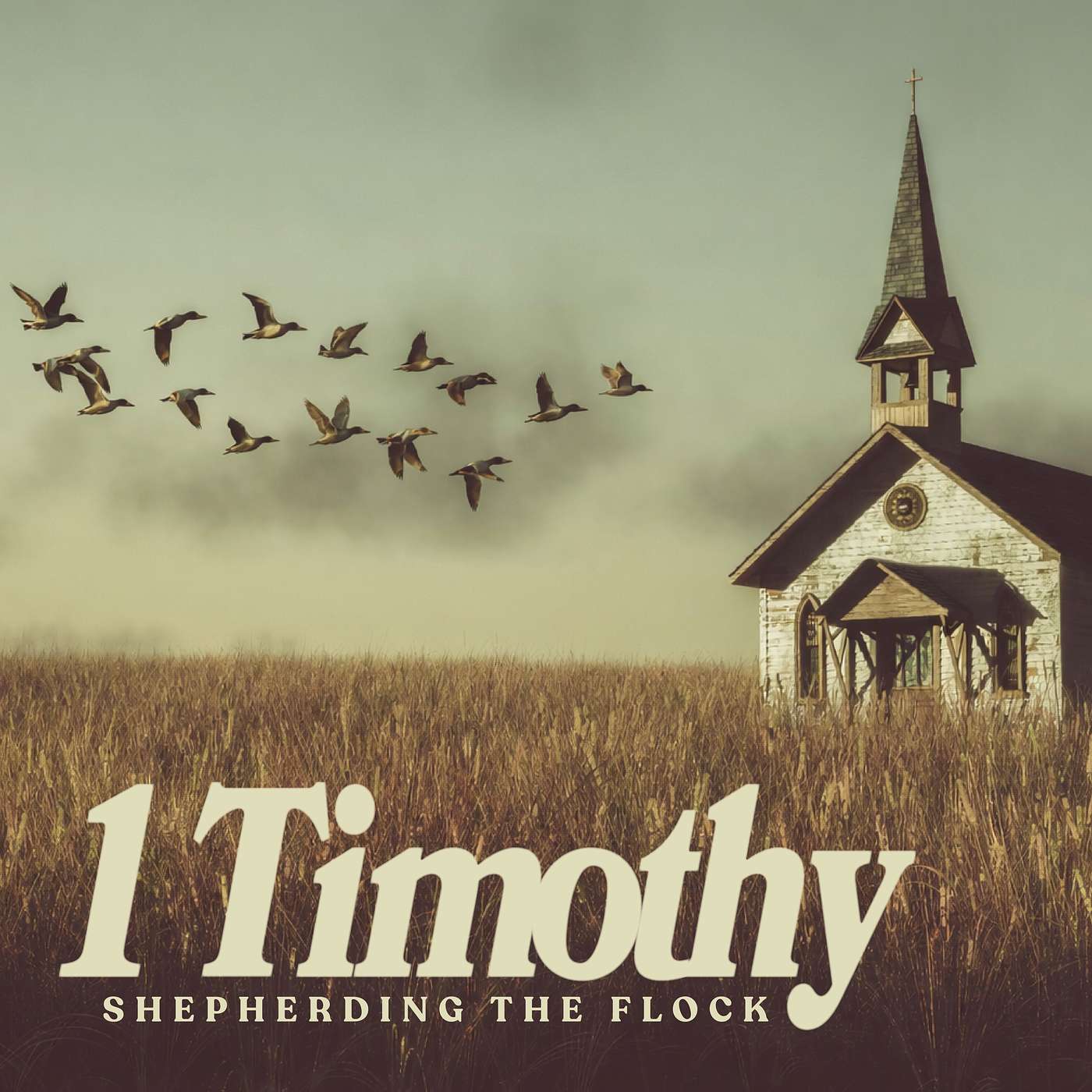 First Light: 1 Timothy 5:17-25 // Pray for Church Leaders