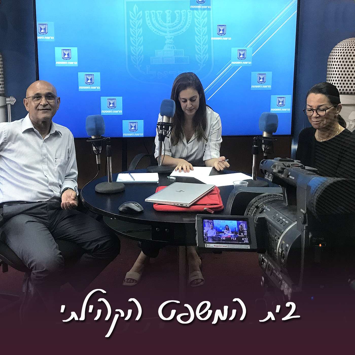 פרק 2 – בית המשפט הקהילתי