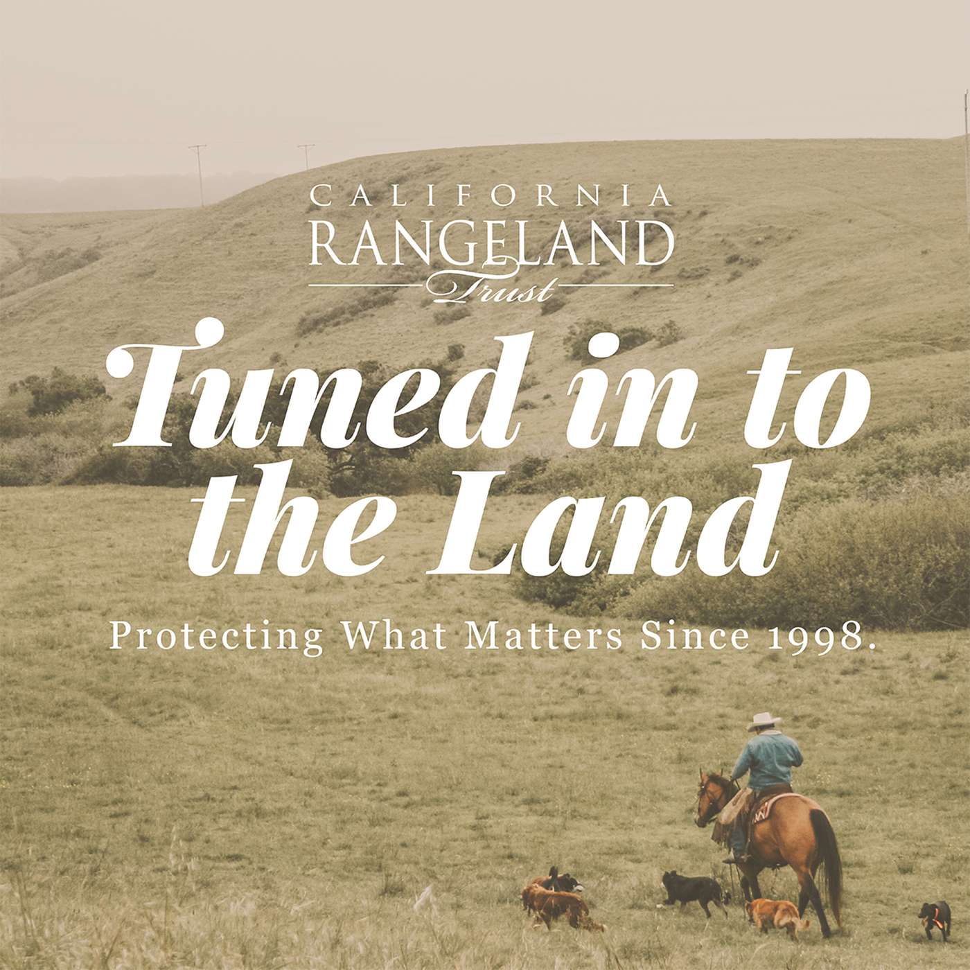 Tuned in to the Land