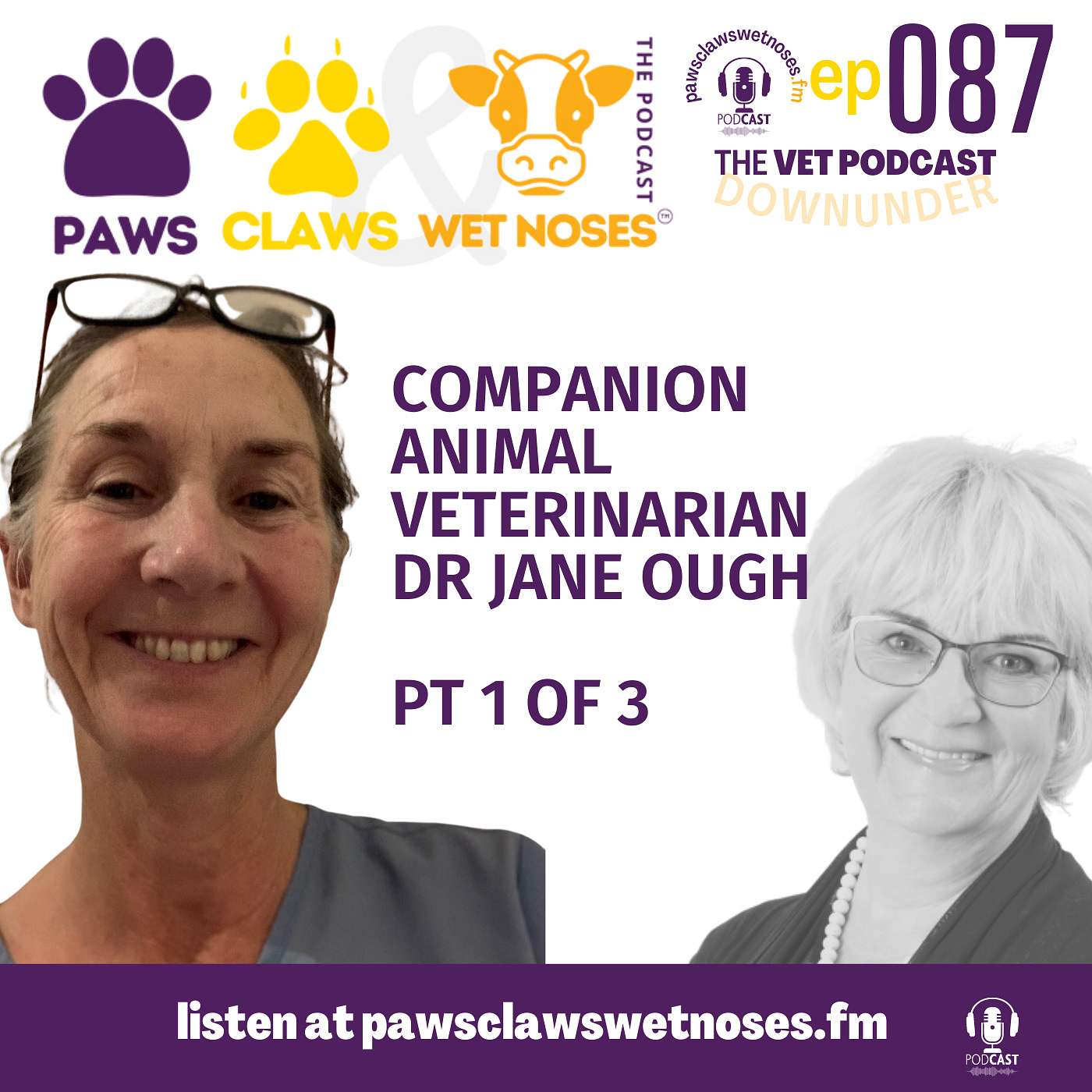 Veterinary Voices