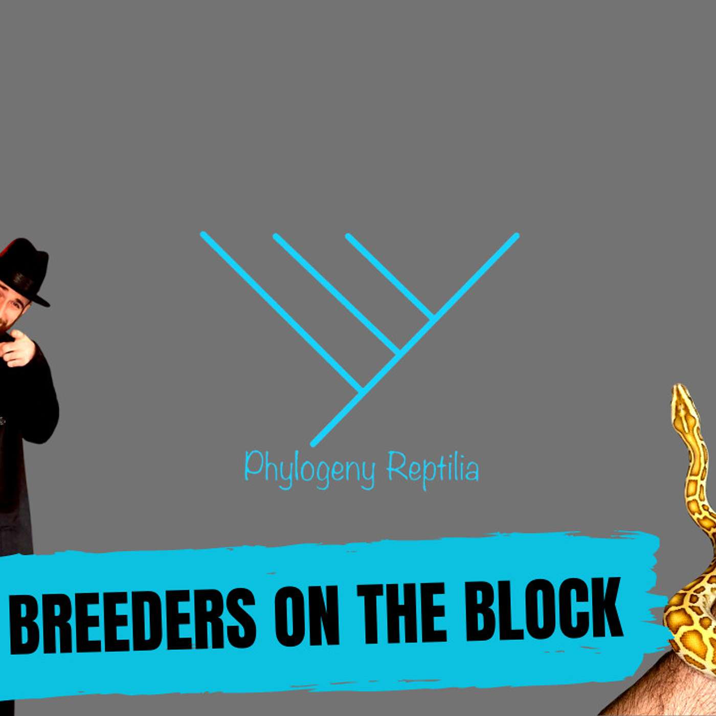 What it's like having a sibling as a business partner | Phylogeny Reptilia