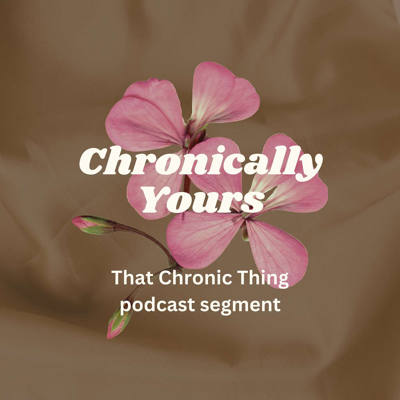Chronic Illness Support: That Chronic Thing