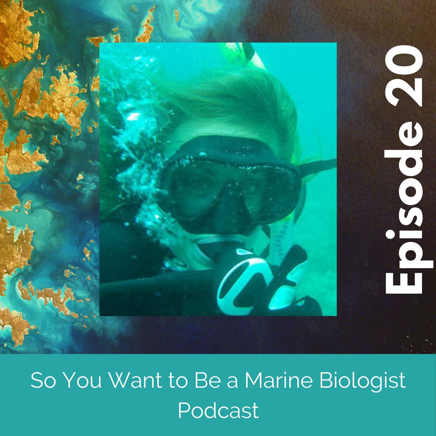 So You Want to Be a Marine Biologist