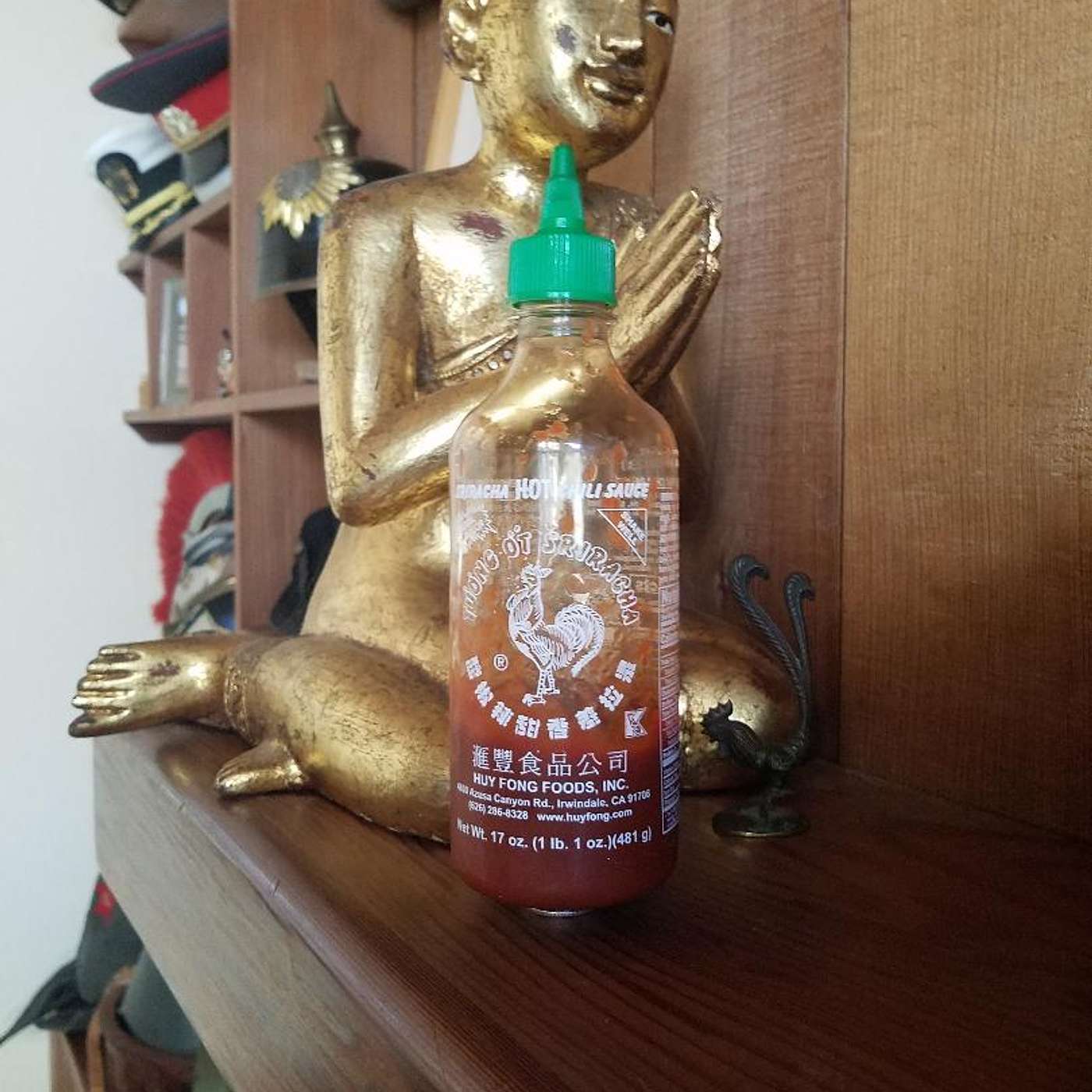 Teacher Tails - Karrer Shorts