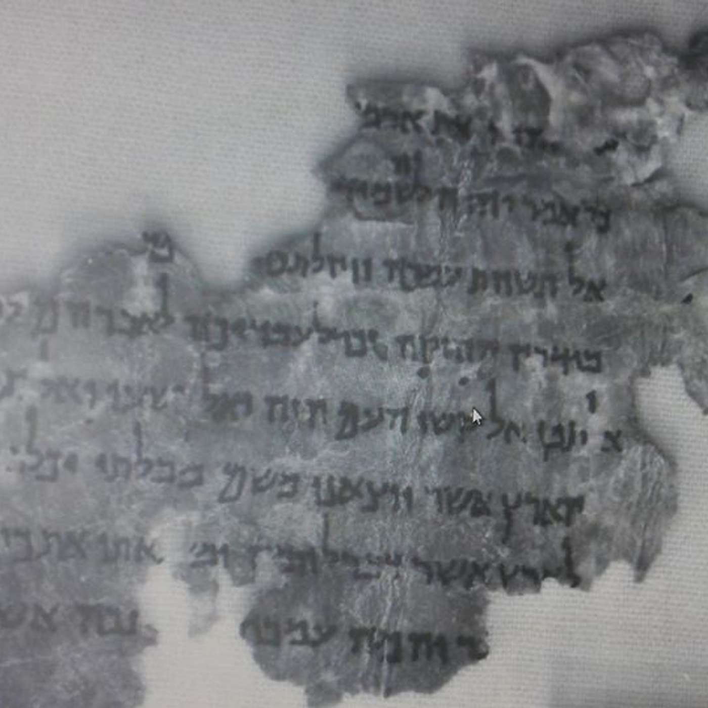 Biblical Criticism