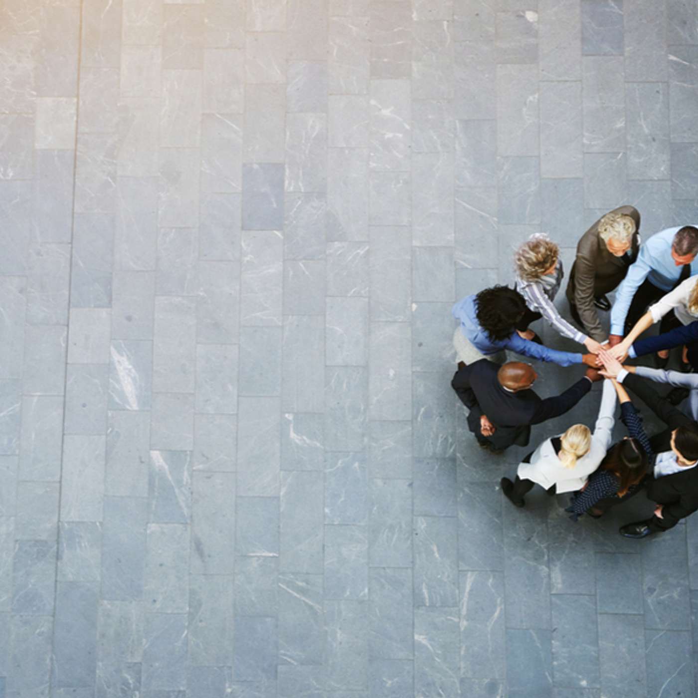Episode 261 - Why businesses are sticking with diversity