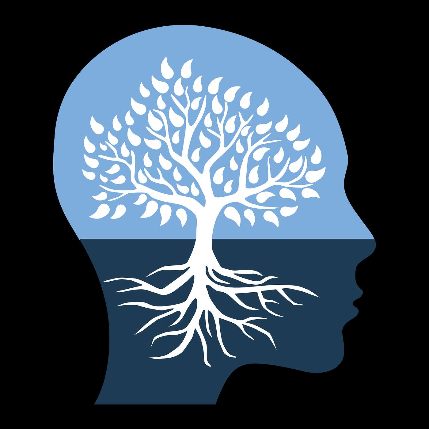 'Blue Zones' & Ikigai