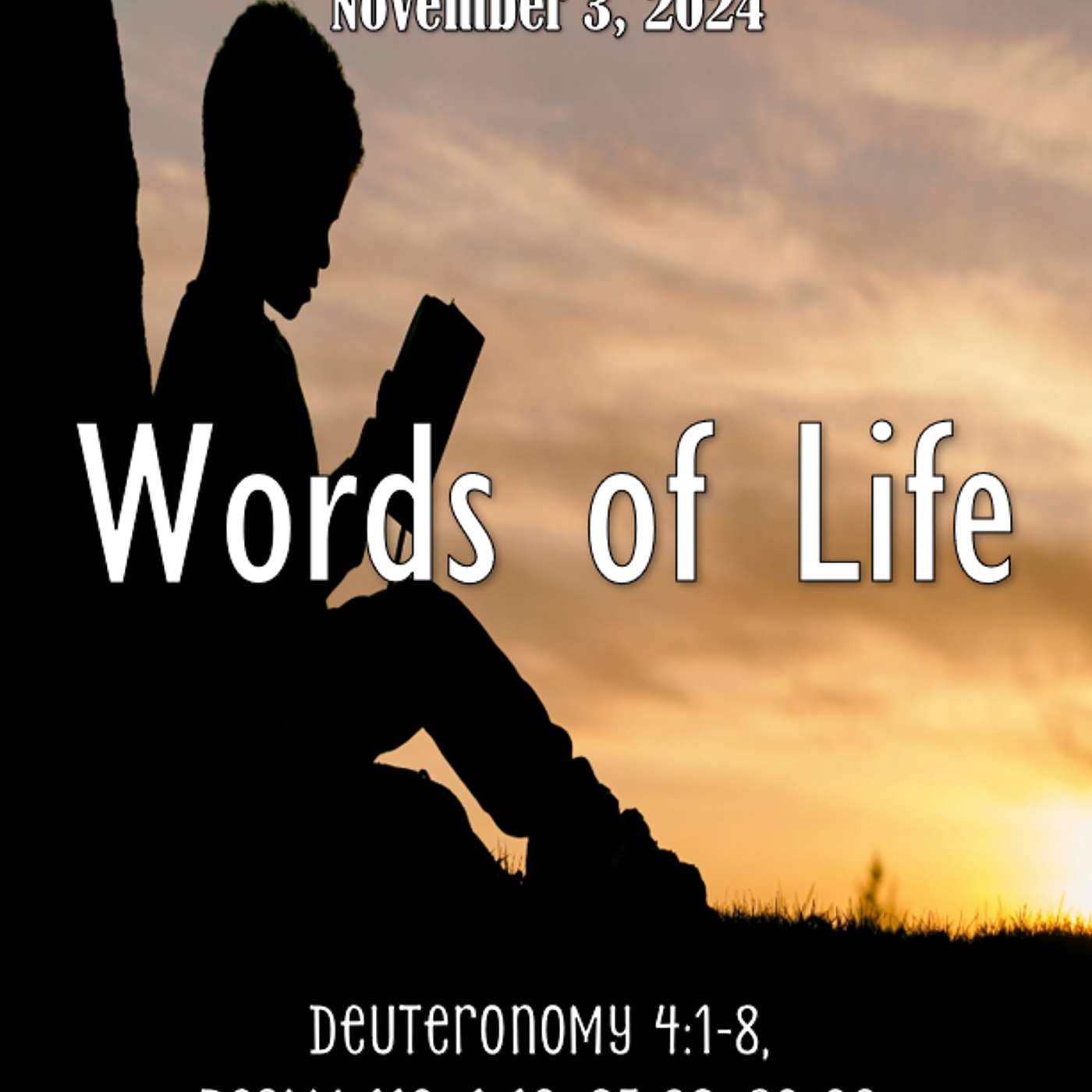 November 3, 2024 Words of Life | Deuteronomy 4:1-8, Psalm 119:1-16, 25-32, 89-96 episode artwork