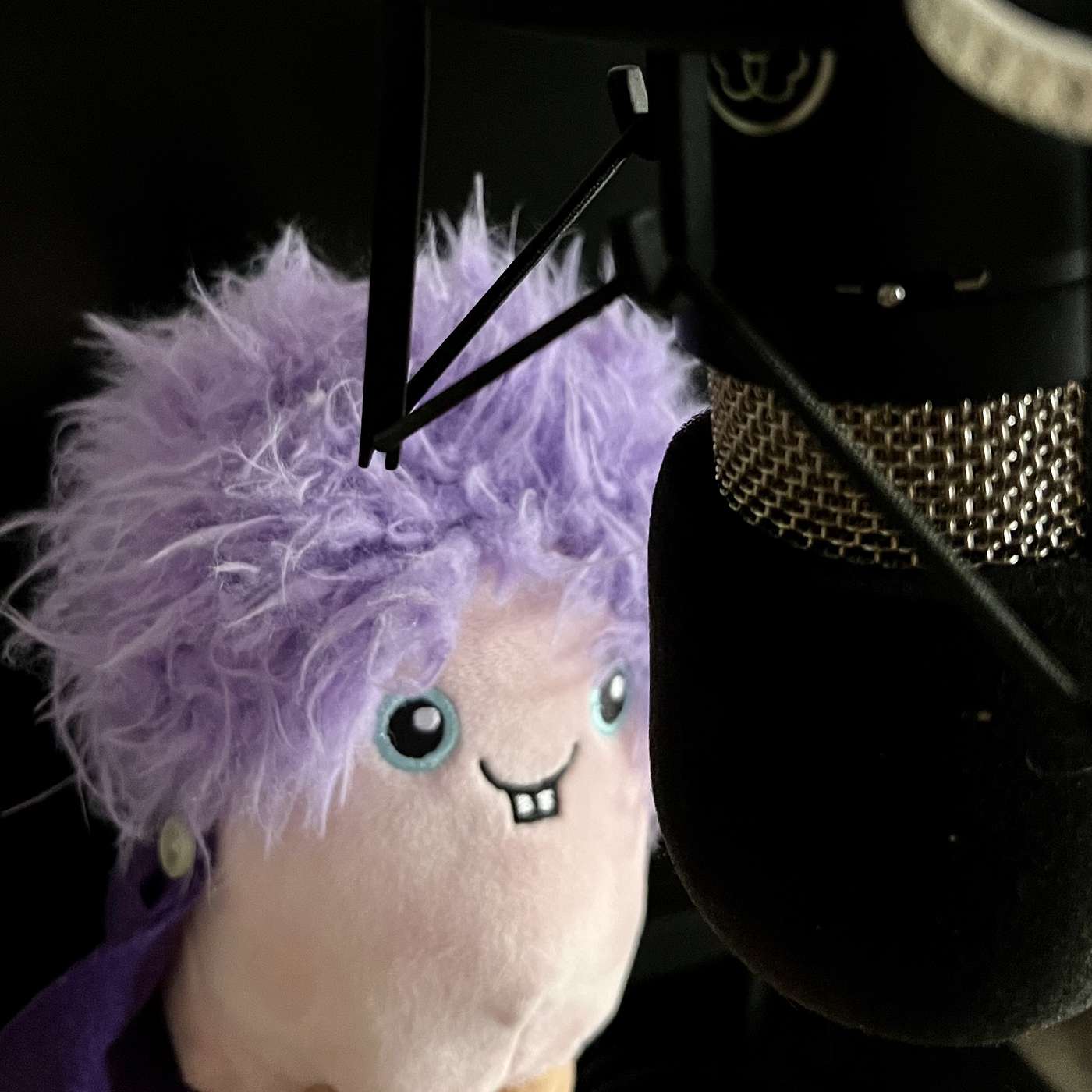 The Brooklyn Beef & The Brooklyn Mike Show Podcasts