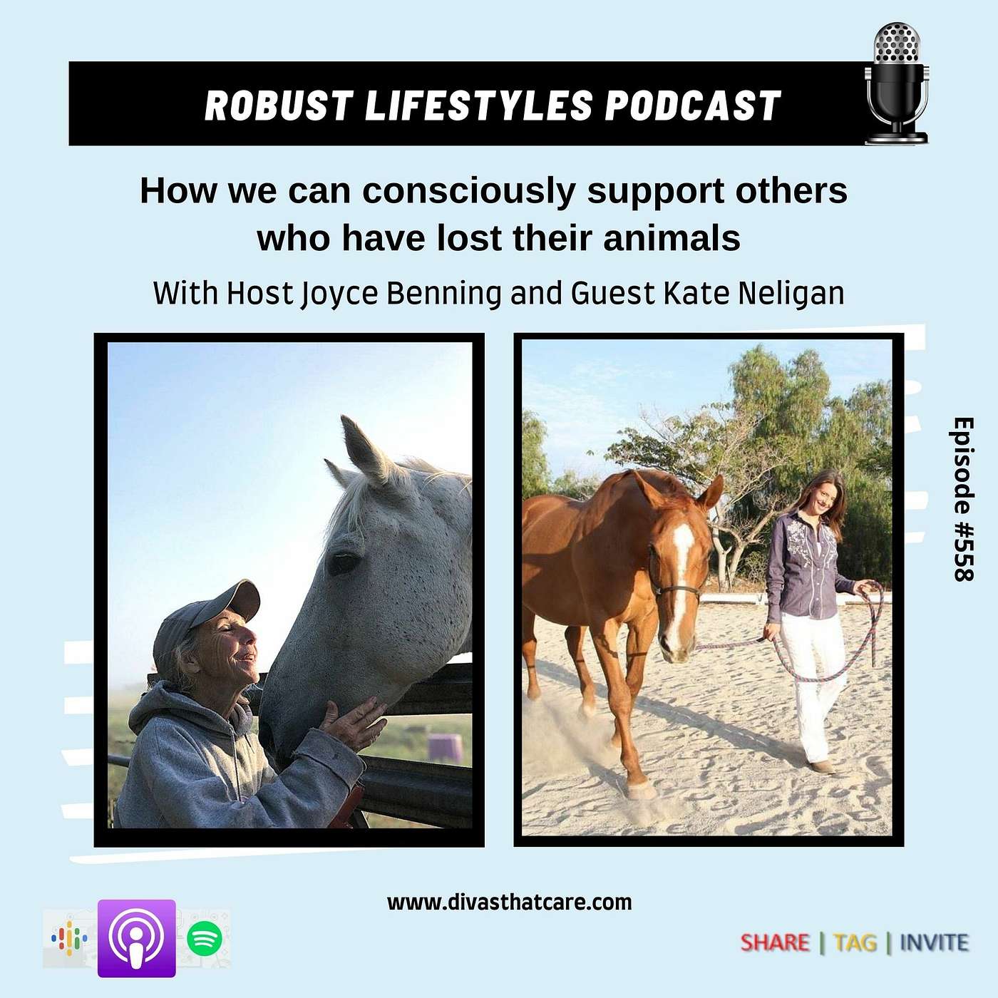 How we can consciously support others  who have lost their animals episode artwork