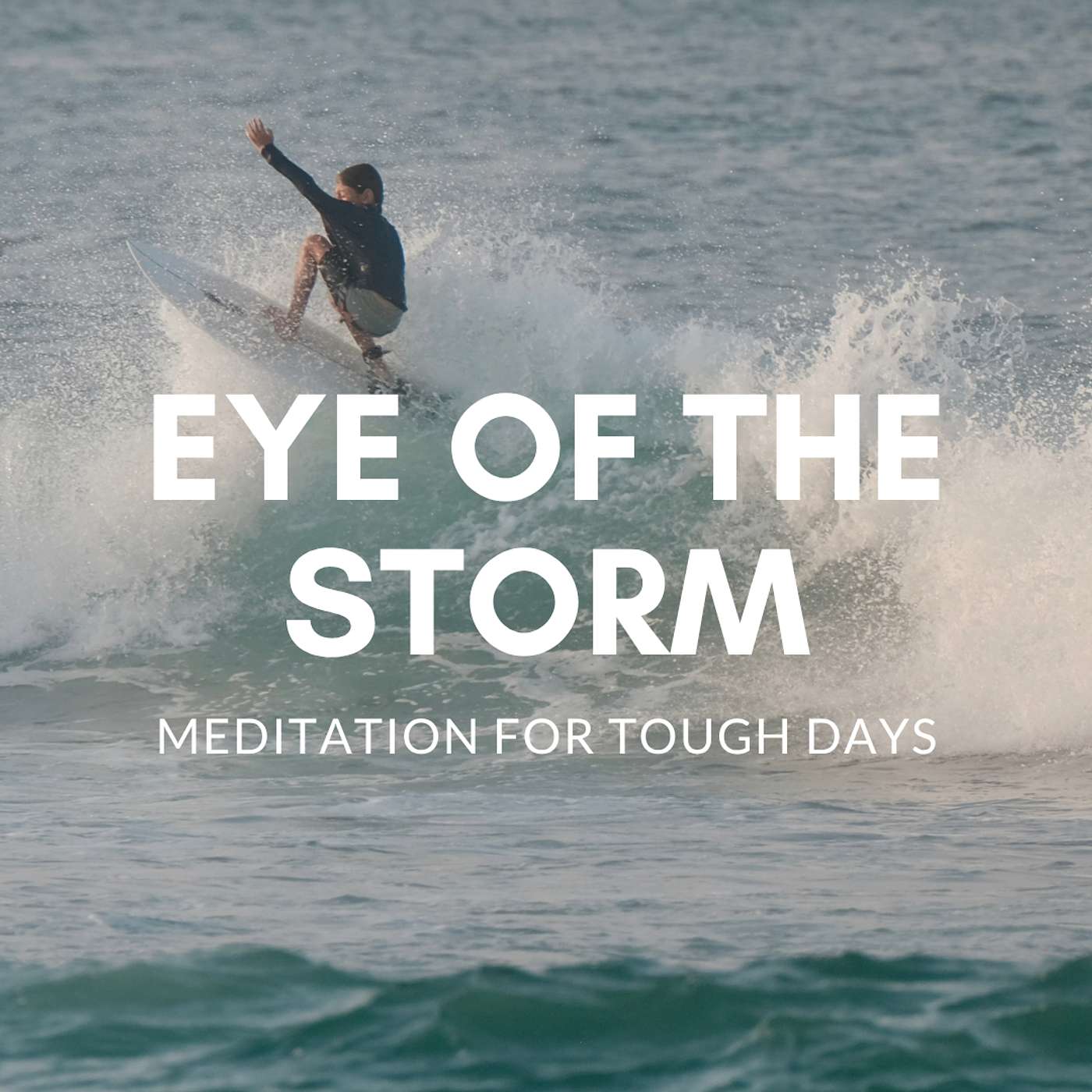 שפיות בעין הסערה שפיות בעין הסערה