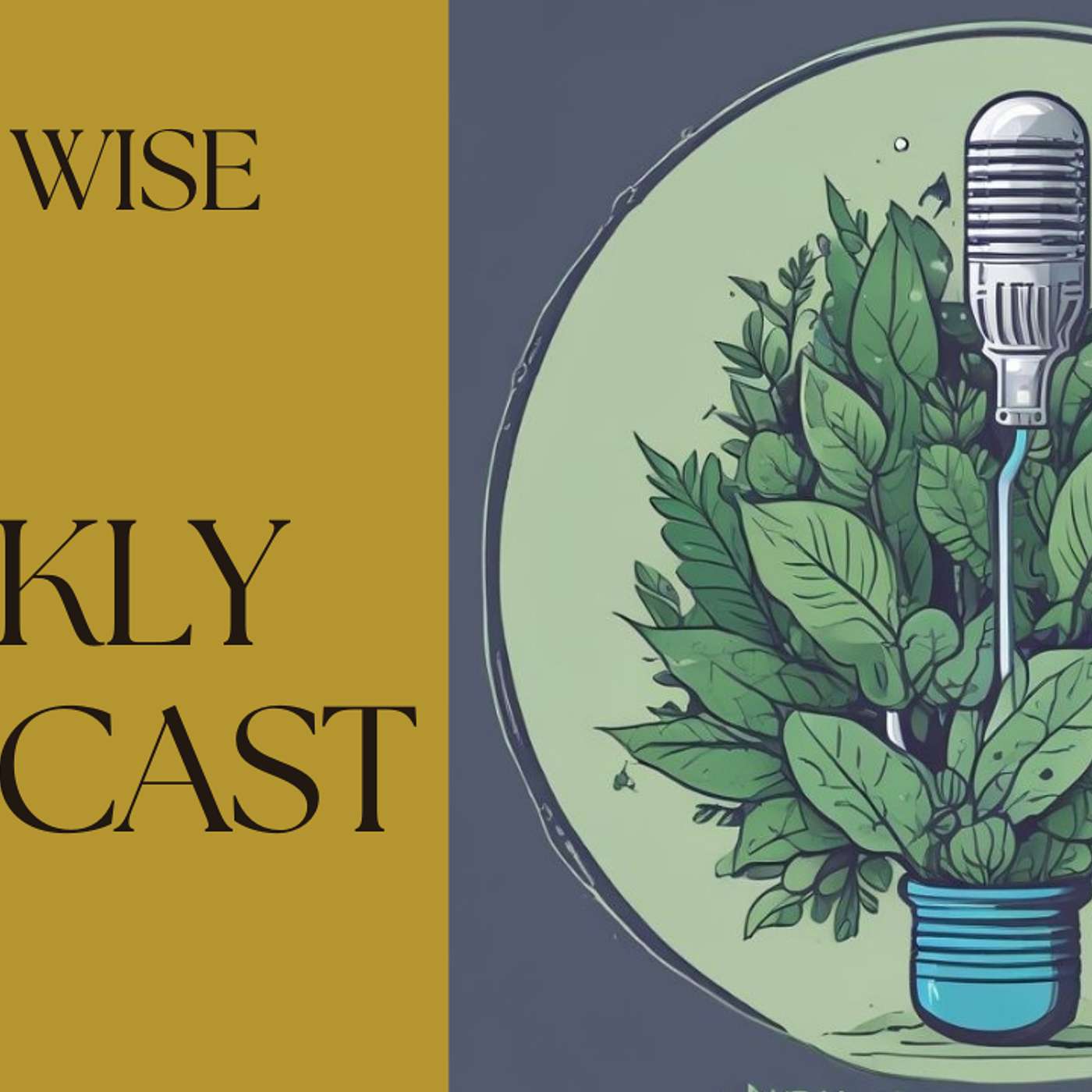 Dotty Wise's Podcast
