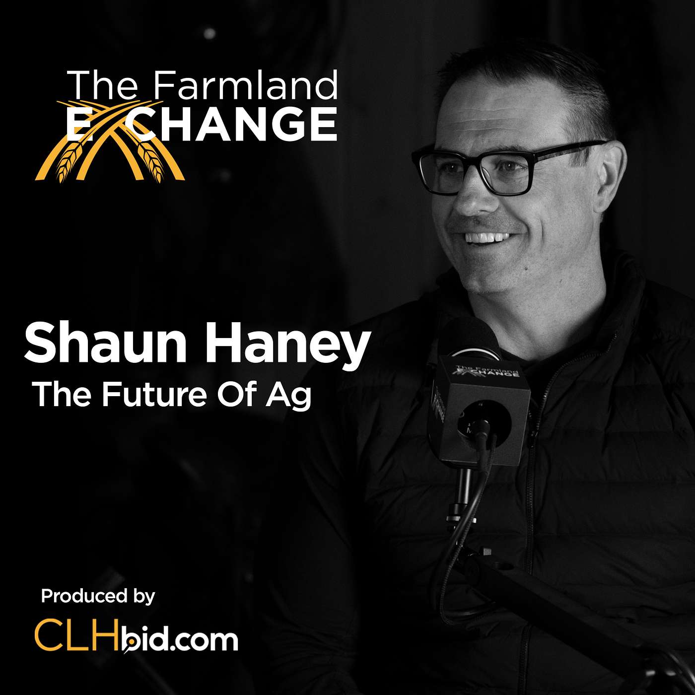 Podcast Episode Artwork