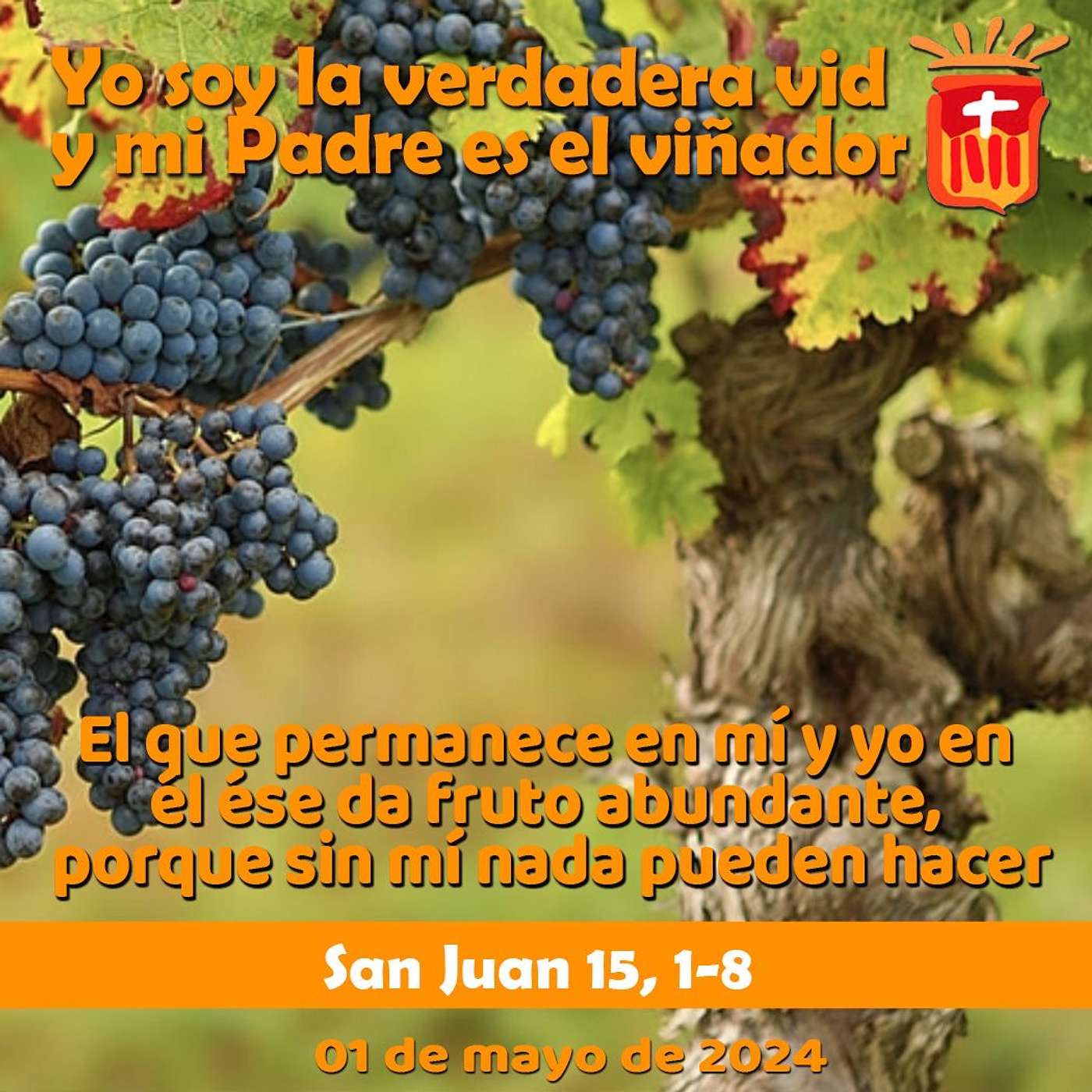 2024-05-01 San Juan 15, 1-8: Miércoles V Pascua.