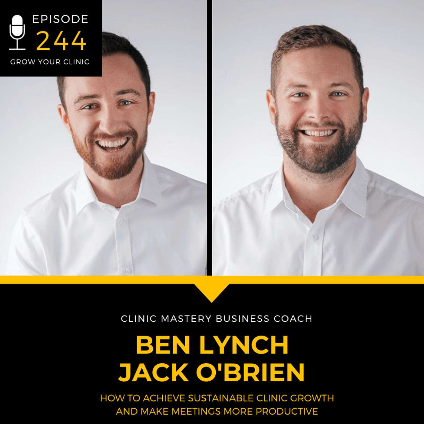 244 - How to Achieve Sustainable Clinic Growth and Make Meetings More Productive episode artwork