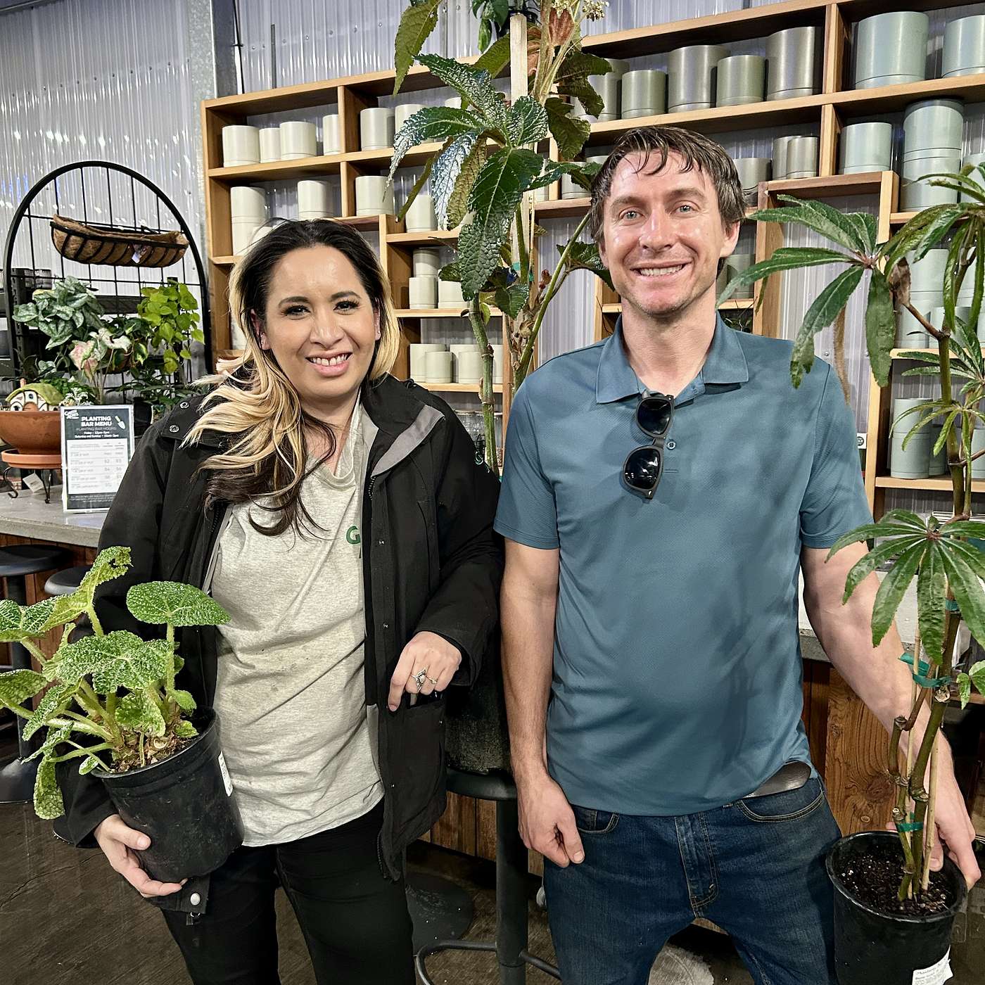 Beautiful Begonias Beautiful Begonias