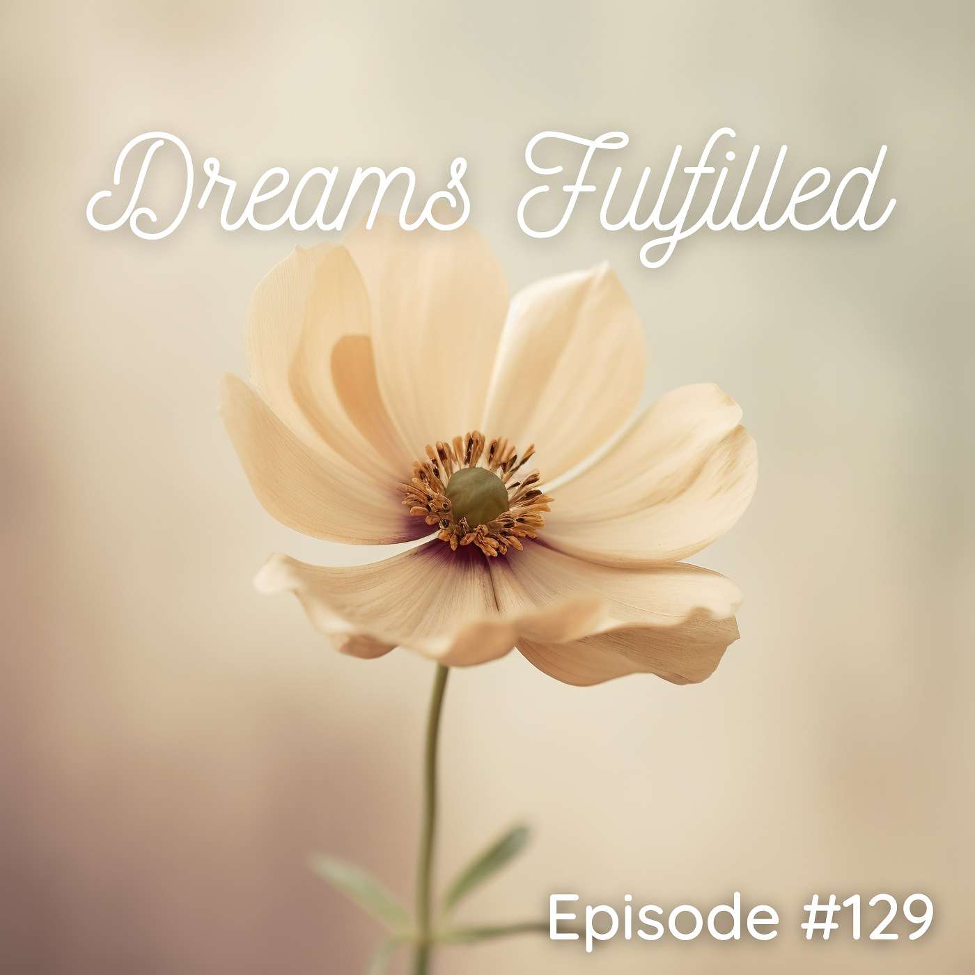 Dreams Fulfilled - Episode #129
