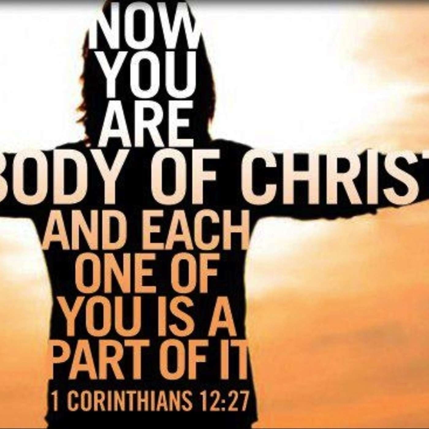 Unshaken: Finding Unity in Christ!