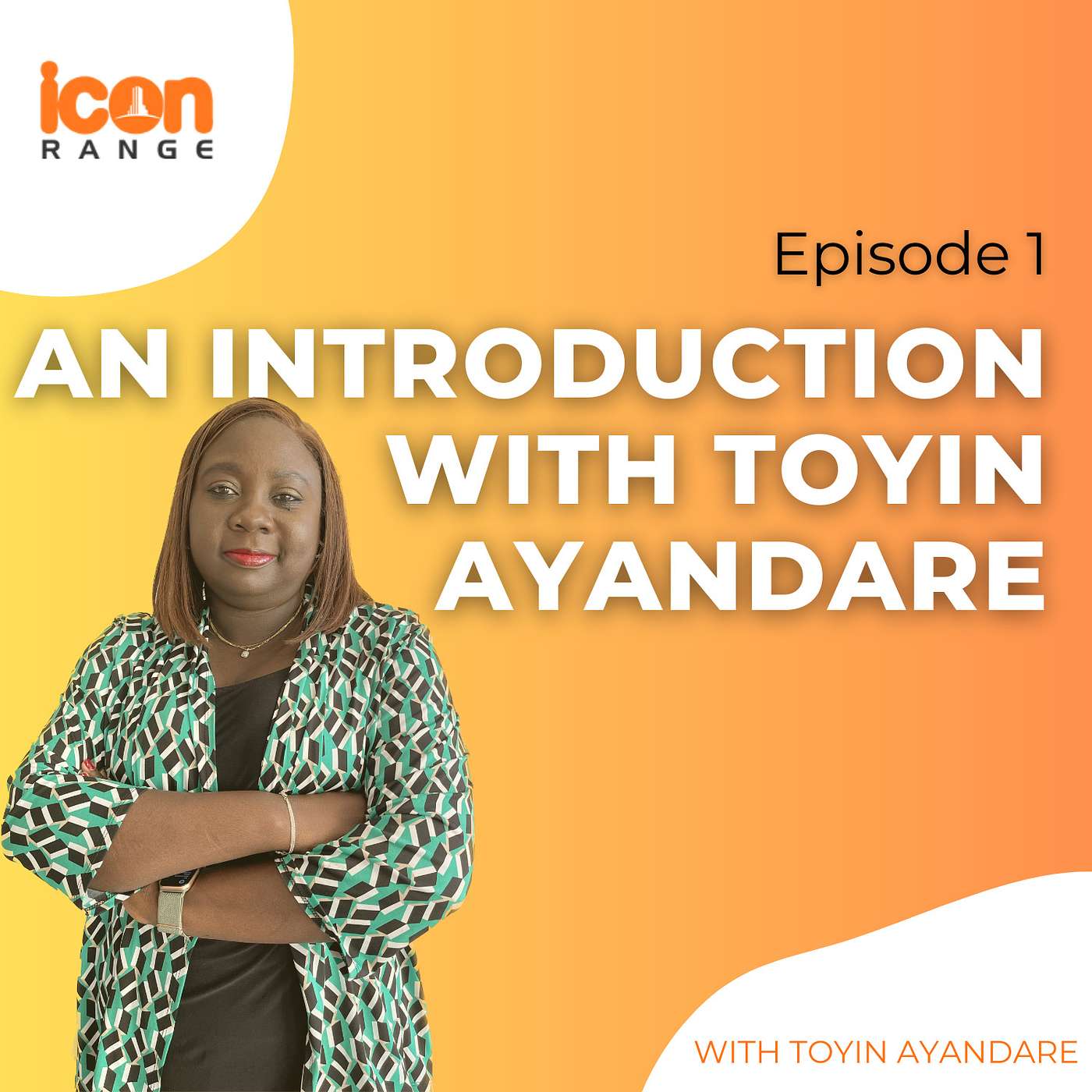 Episode 1 - An Introduction with Toyin Ayandare