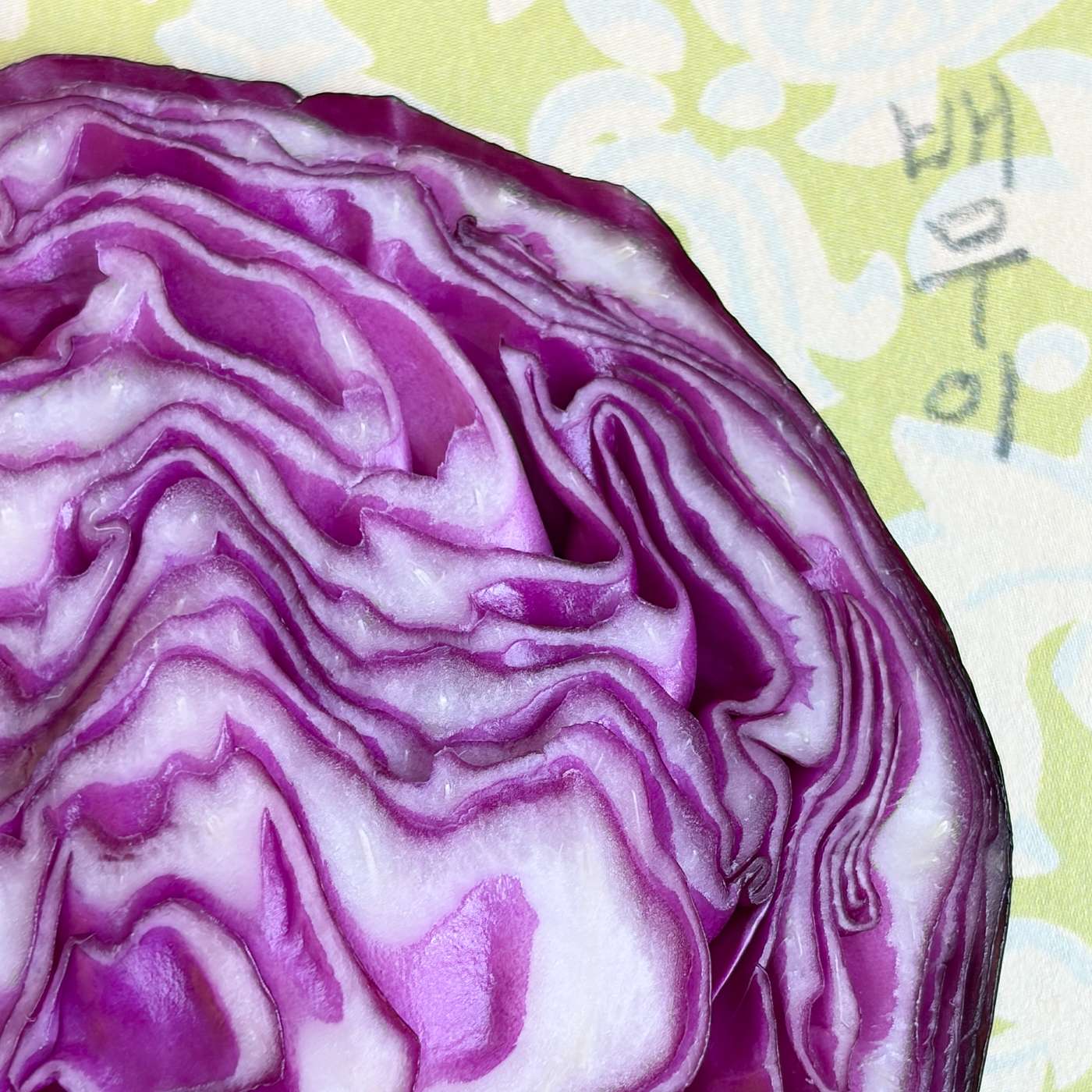 The Archaeology of Home 한옥계의 인디아나 존스