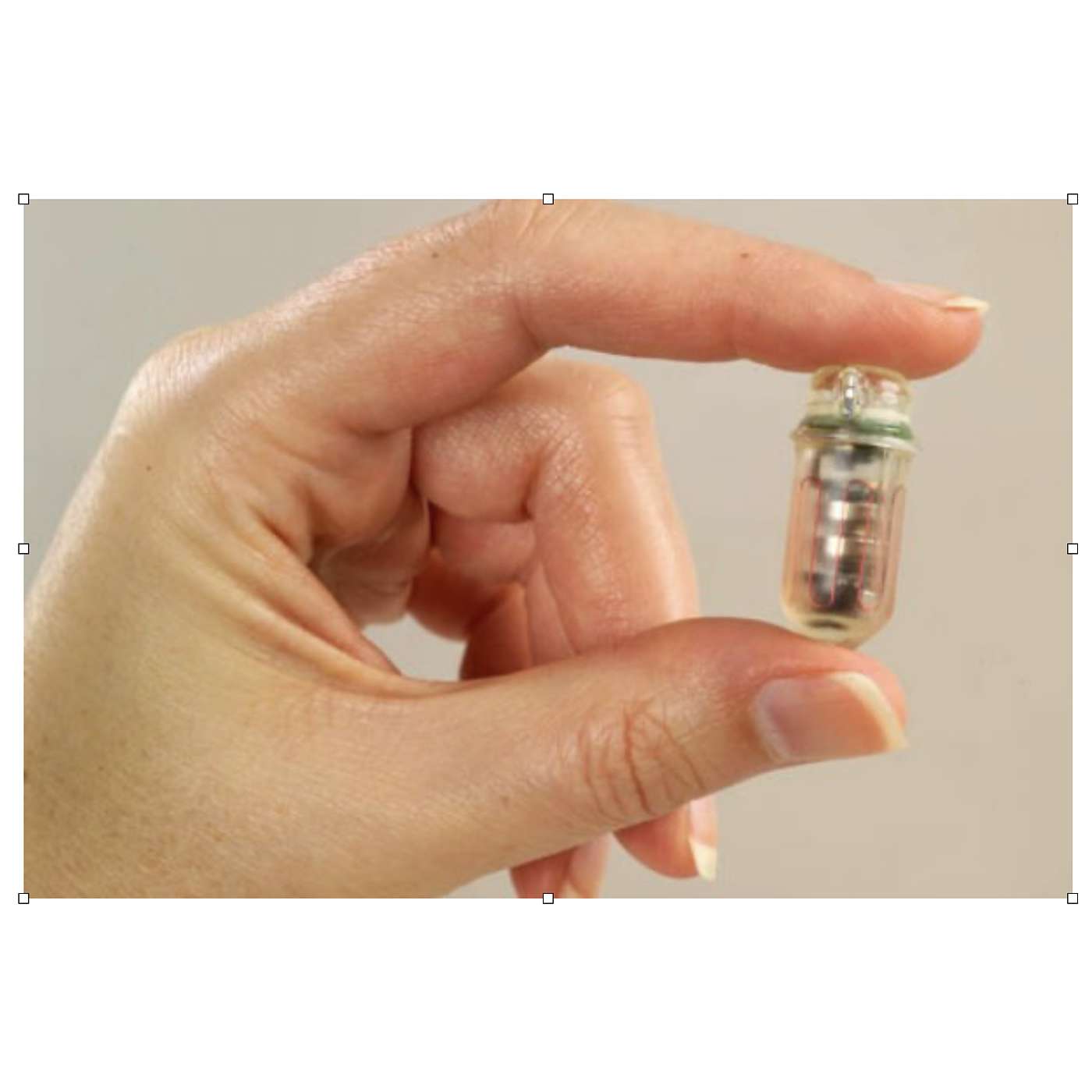 Friday, January 31, 2025 - Hasta la vista, January