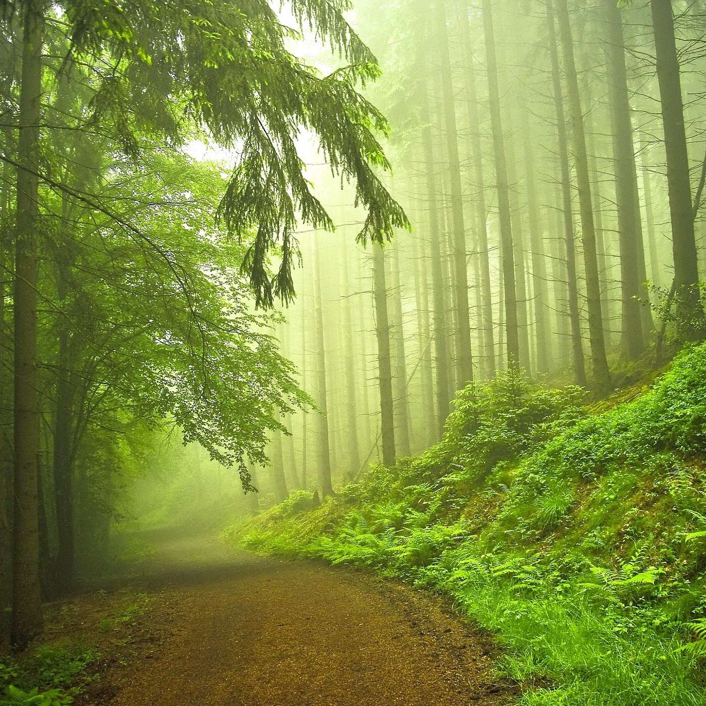 Hello Cancer Friends