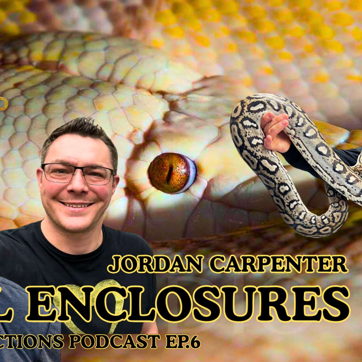 What Should Be The Enclosure Size Standard When Keeping Retics? | Retic Reflections Live