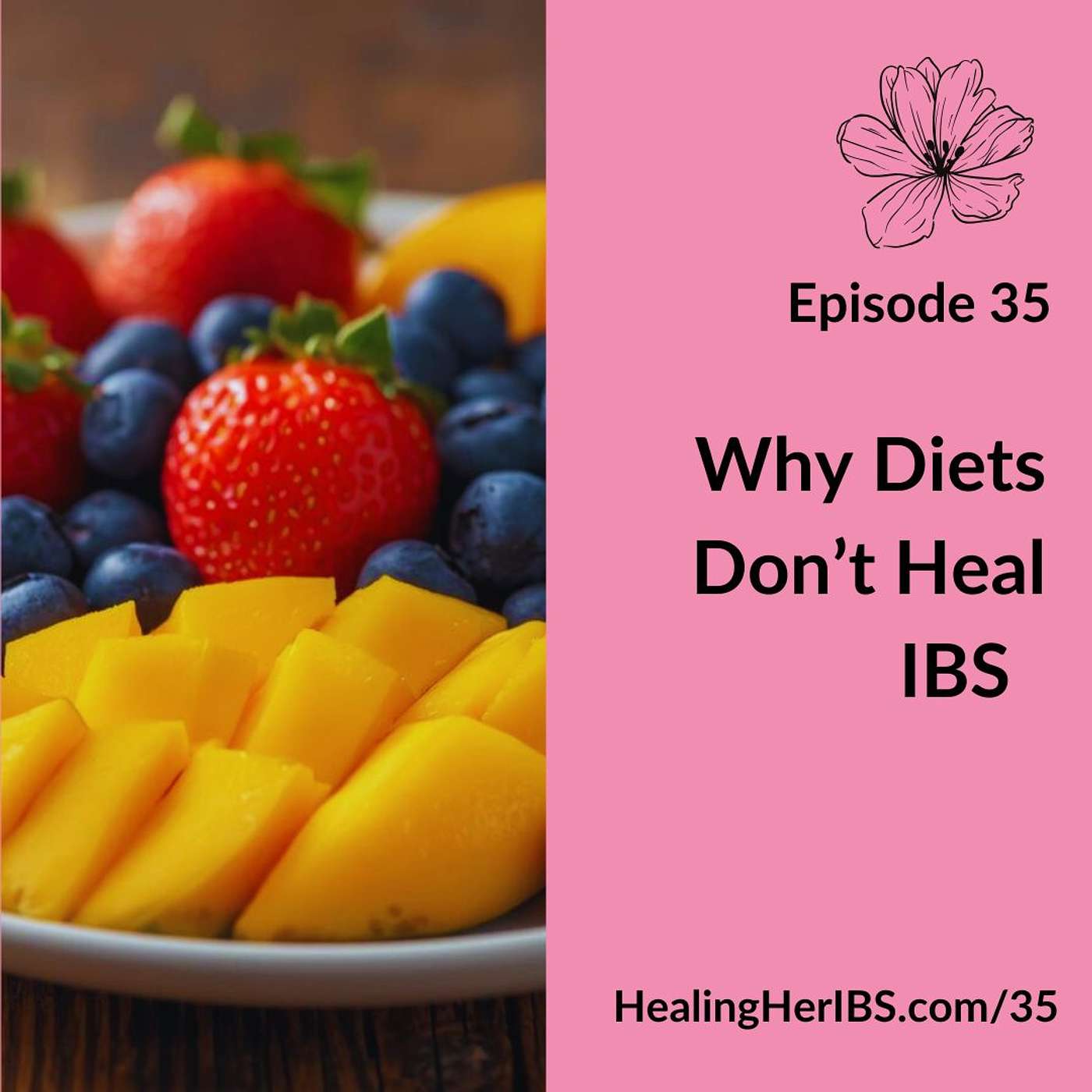 Episode 35: Why Diets Don't Heal IBS