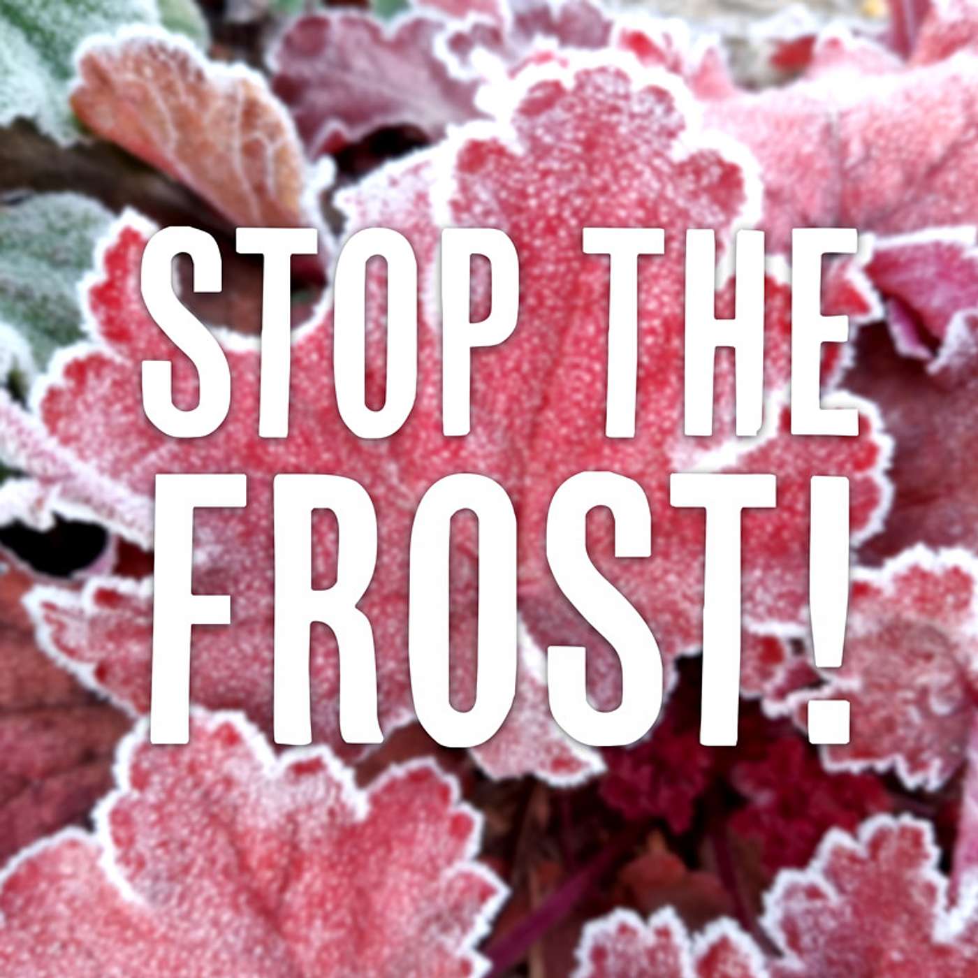 Ice Cold: Stop The Frost! 