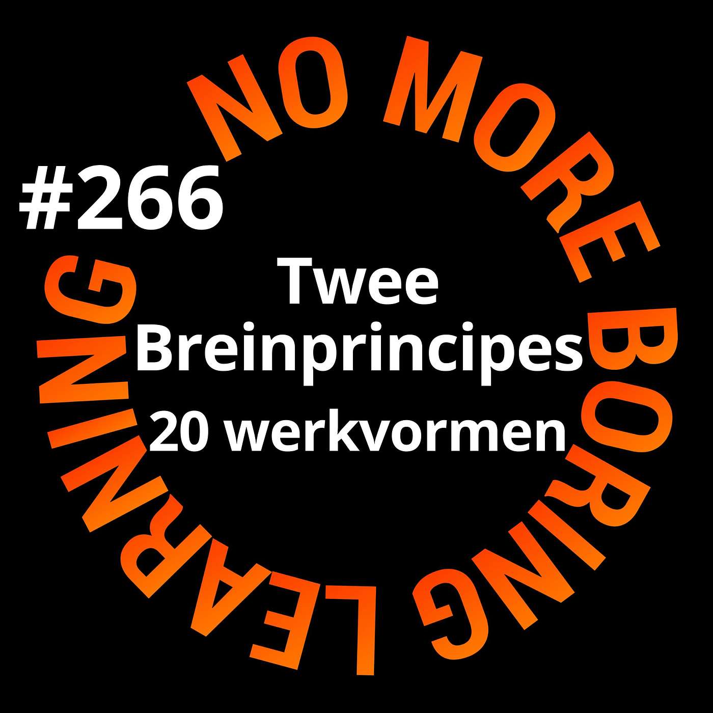 266. Twee breinprincipes, twintig werkvormen voor dieper leren episode artwork