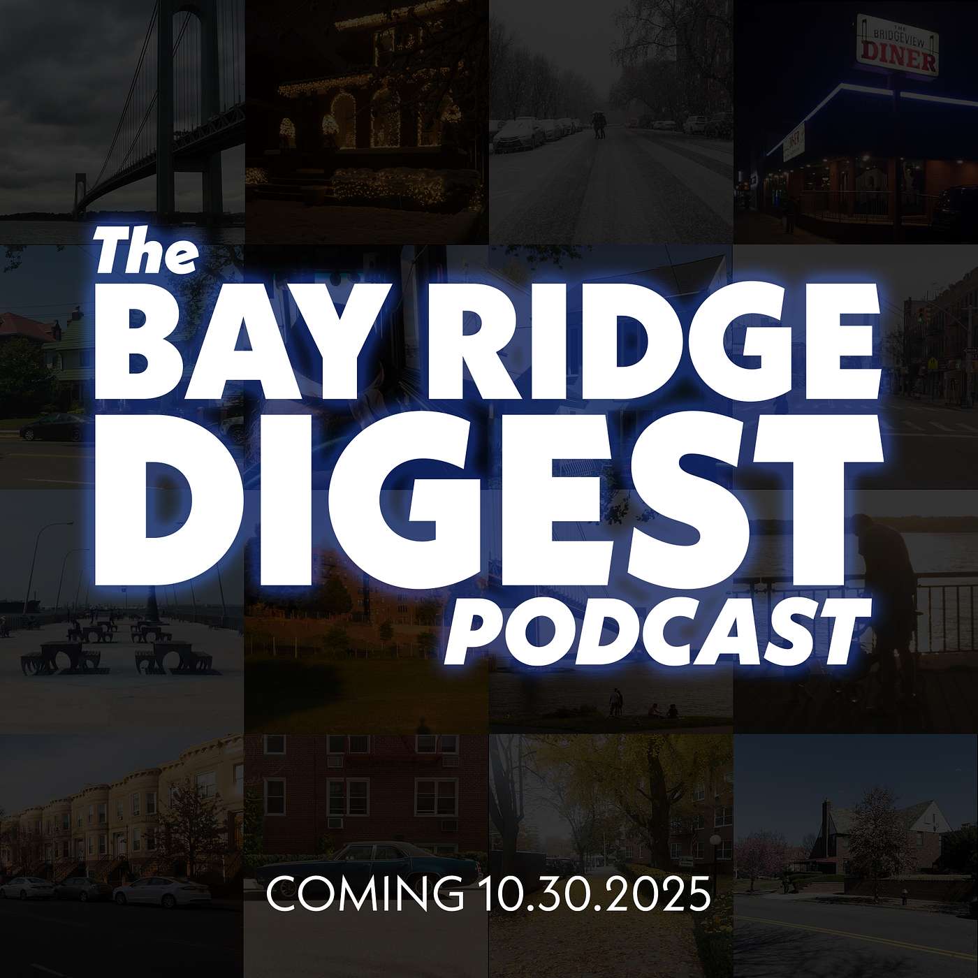 The Bay Ridge Digest
