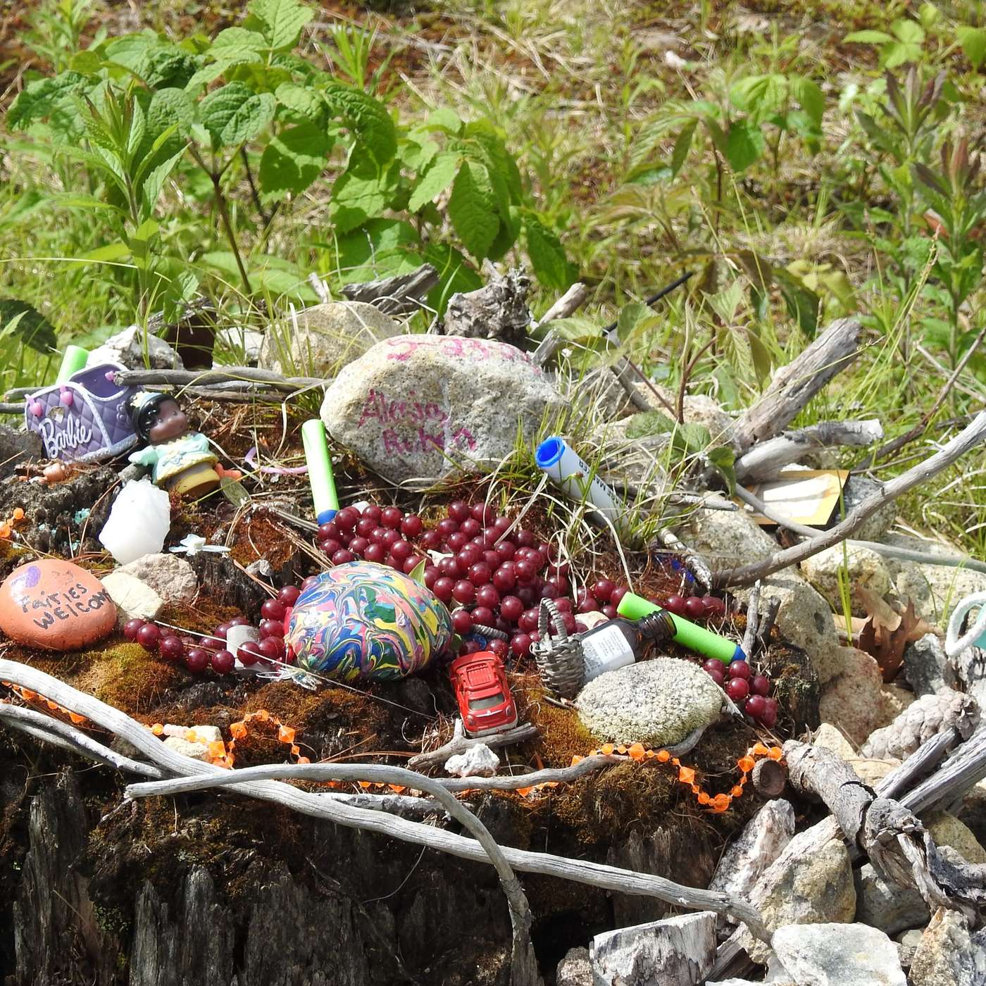 THE FAIRIES HAVE BEEN BUSY
